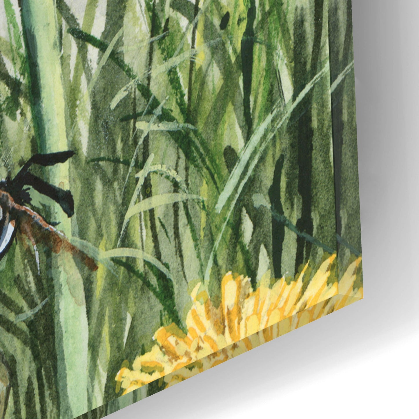 Epic Art 'Dandybees' by Maggie Vandewalle, Acrylic Glass Wall Art,12x16