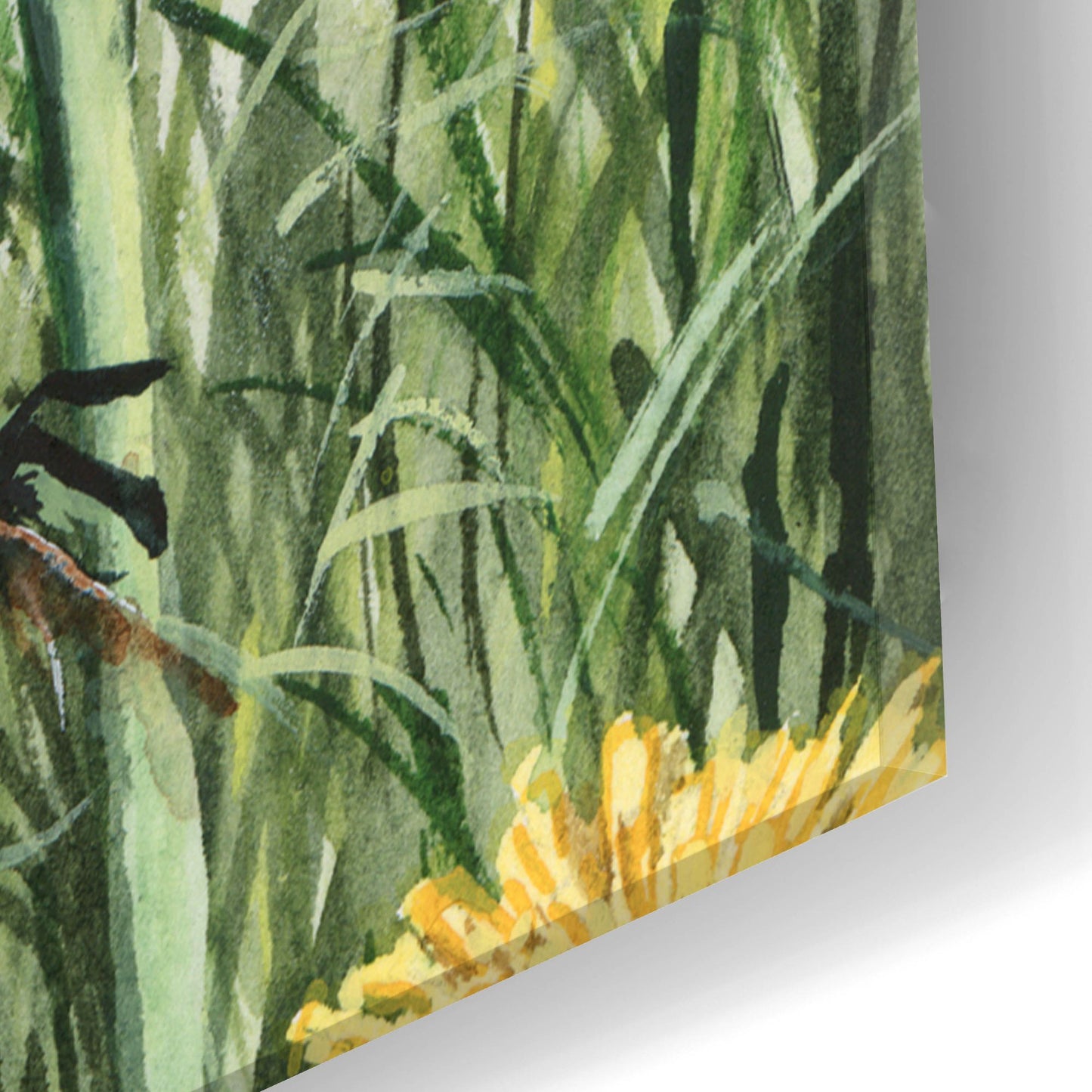 Epic Art 'Dandybees' by Maggie Vandewalle, Acrylic Glass Wall Art,16x24