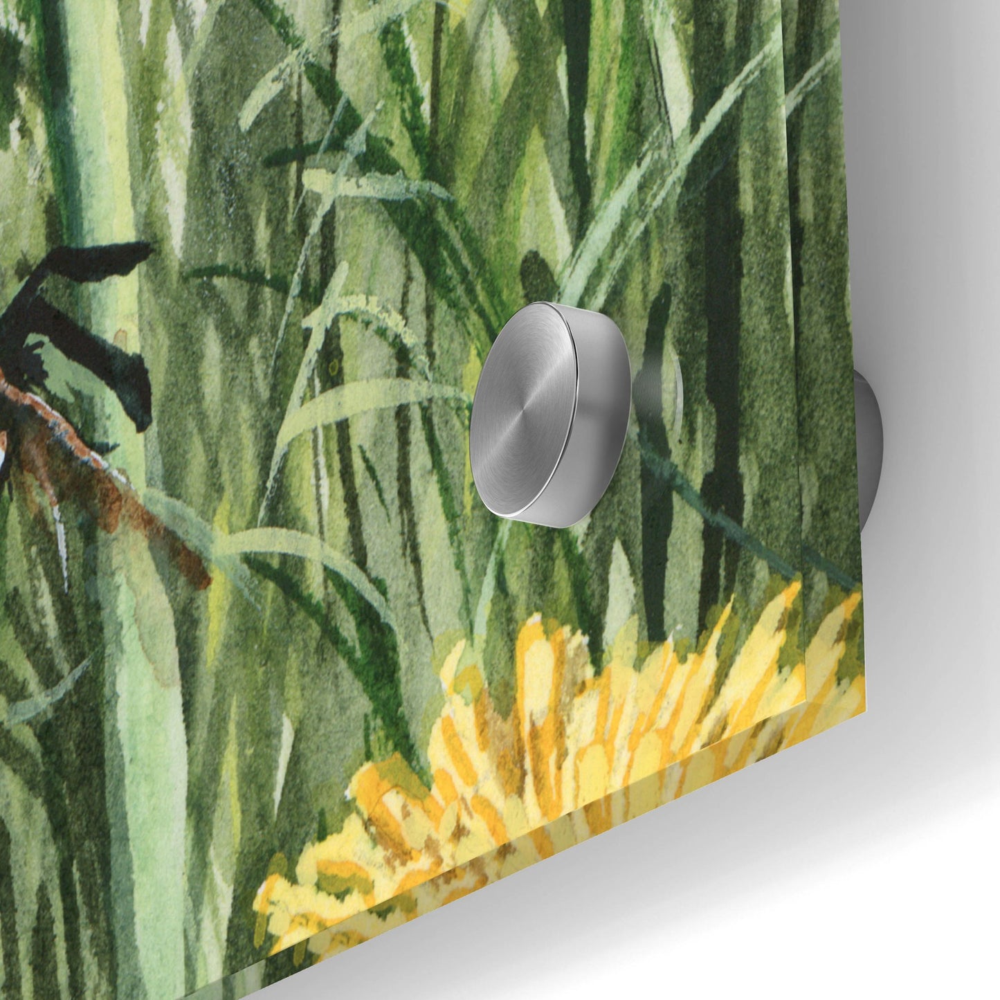 Epic Art 'Dandybees' by Maggie Vandewalle, Acrylic Glass Wall Art,24x36