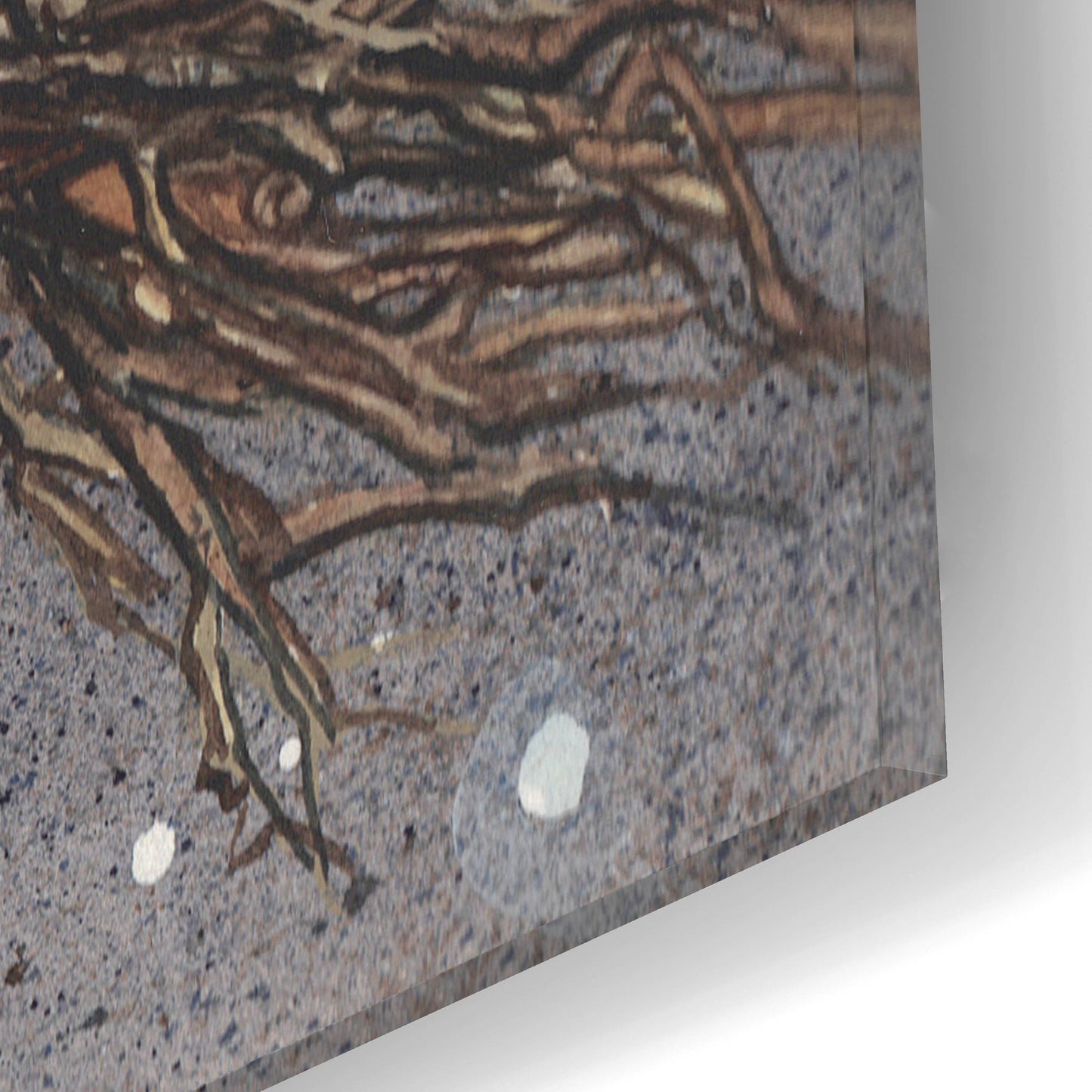 Epic Art 'Flyaway Hare' by Maggie Vandewalle, Acrylic Glass Wall Art,16x12