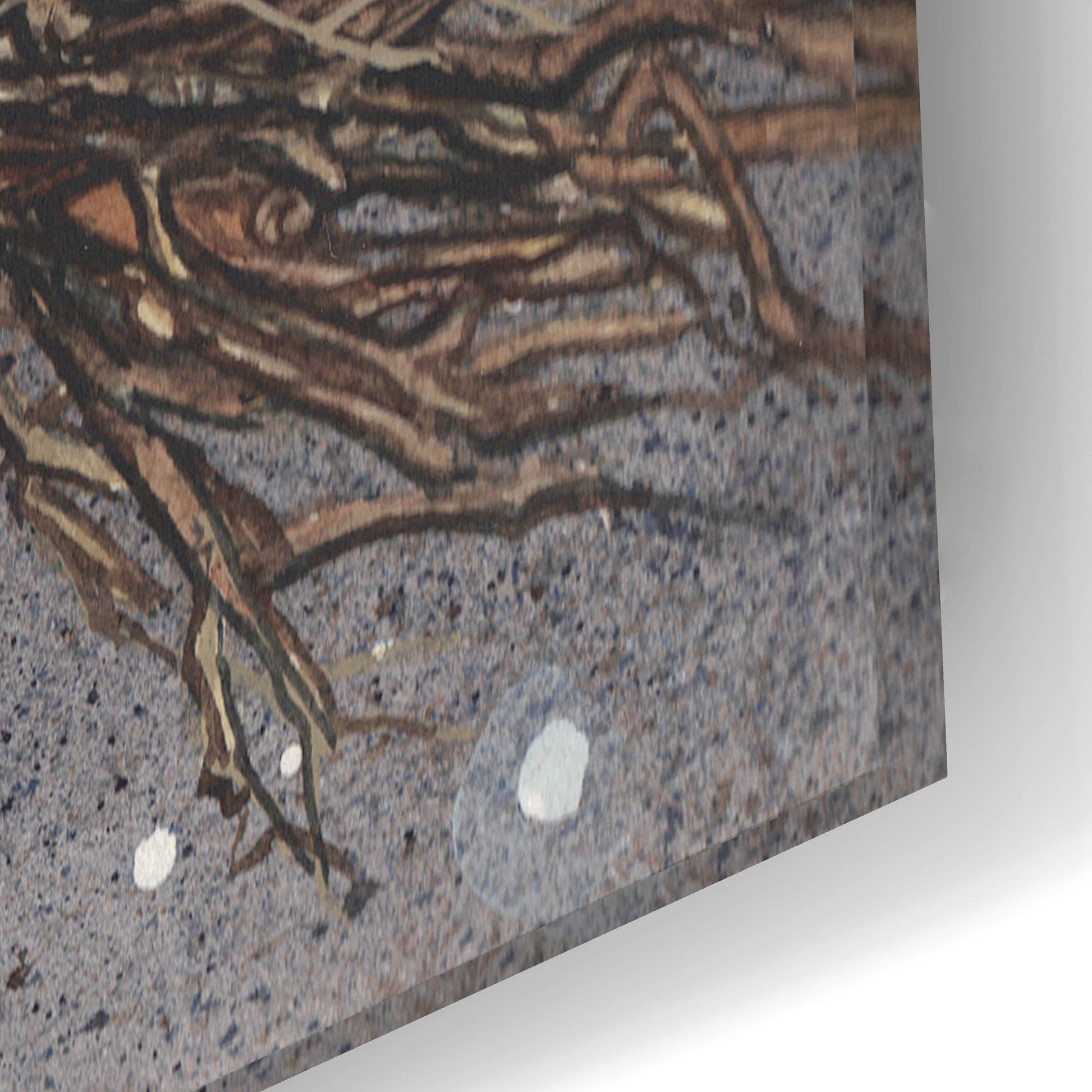 Epic Art 'Flyaway Hare' by Maggie Vandewalle, Acrylic Glass Wall Art,24x16