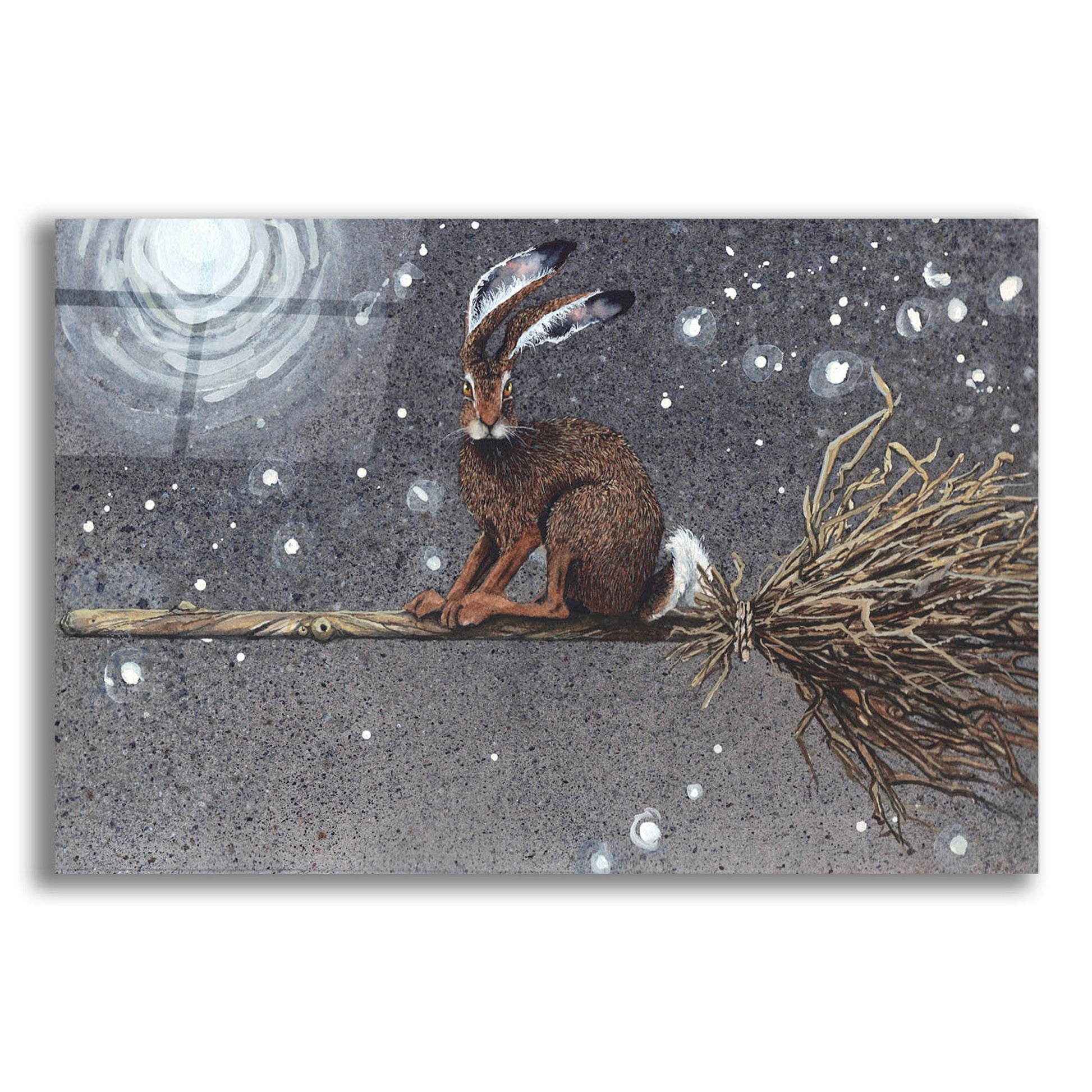 Epic Art 'Flyaway Hare' by Maggie Vandewalle, Acrylic Glass Wall Art,24x16