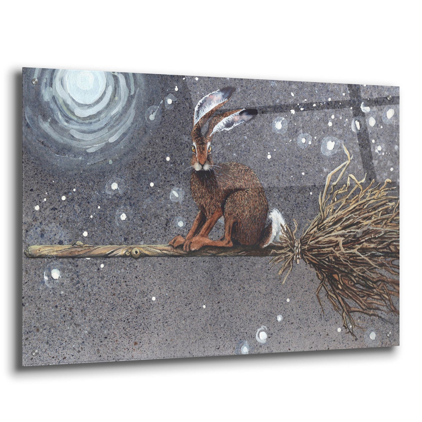Epic Art 'Flyaway Hare' by Maggie Vandewalle, Acrylic Glass Wall Art,36x24