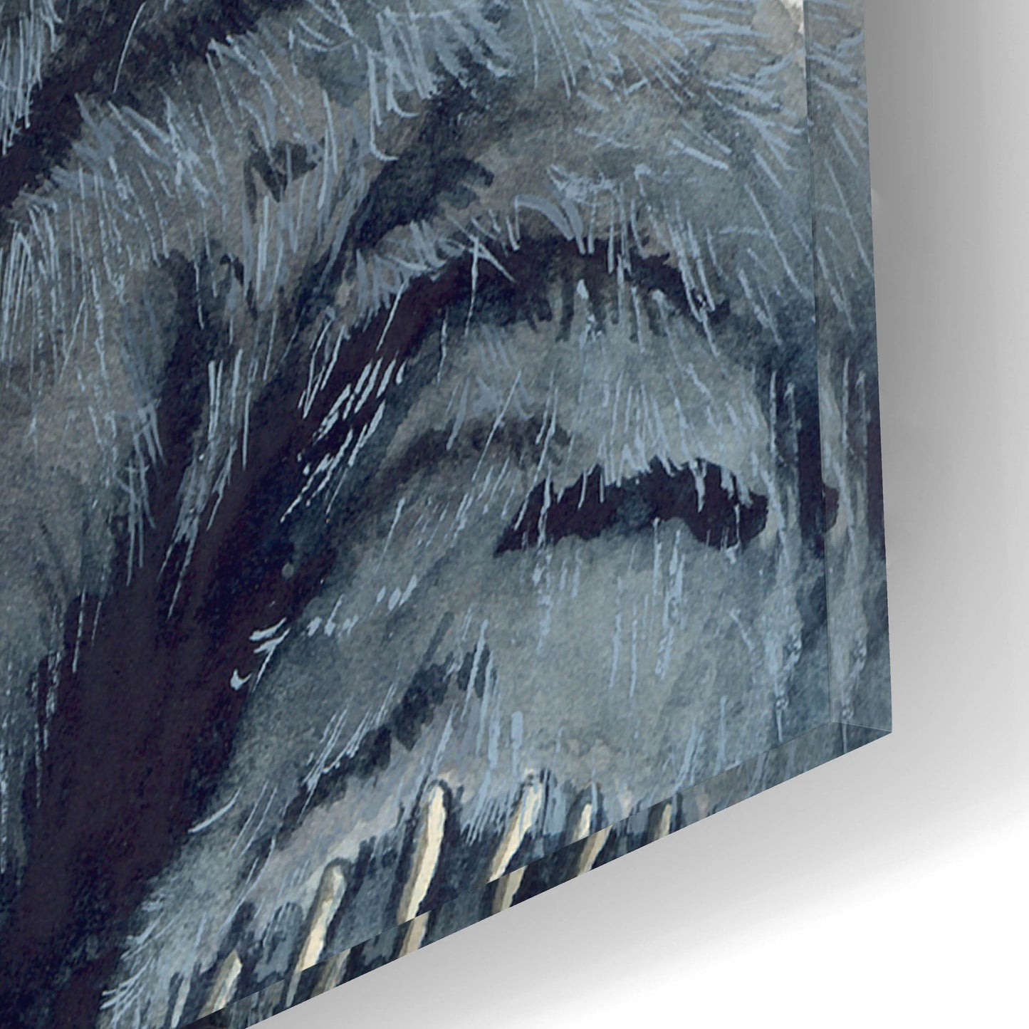 Epic Art 'Gadabout' by Maggie Vandewalle, Acrylic Glass Wall Art,12x16