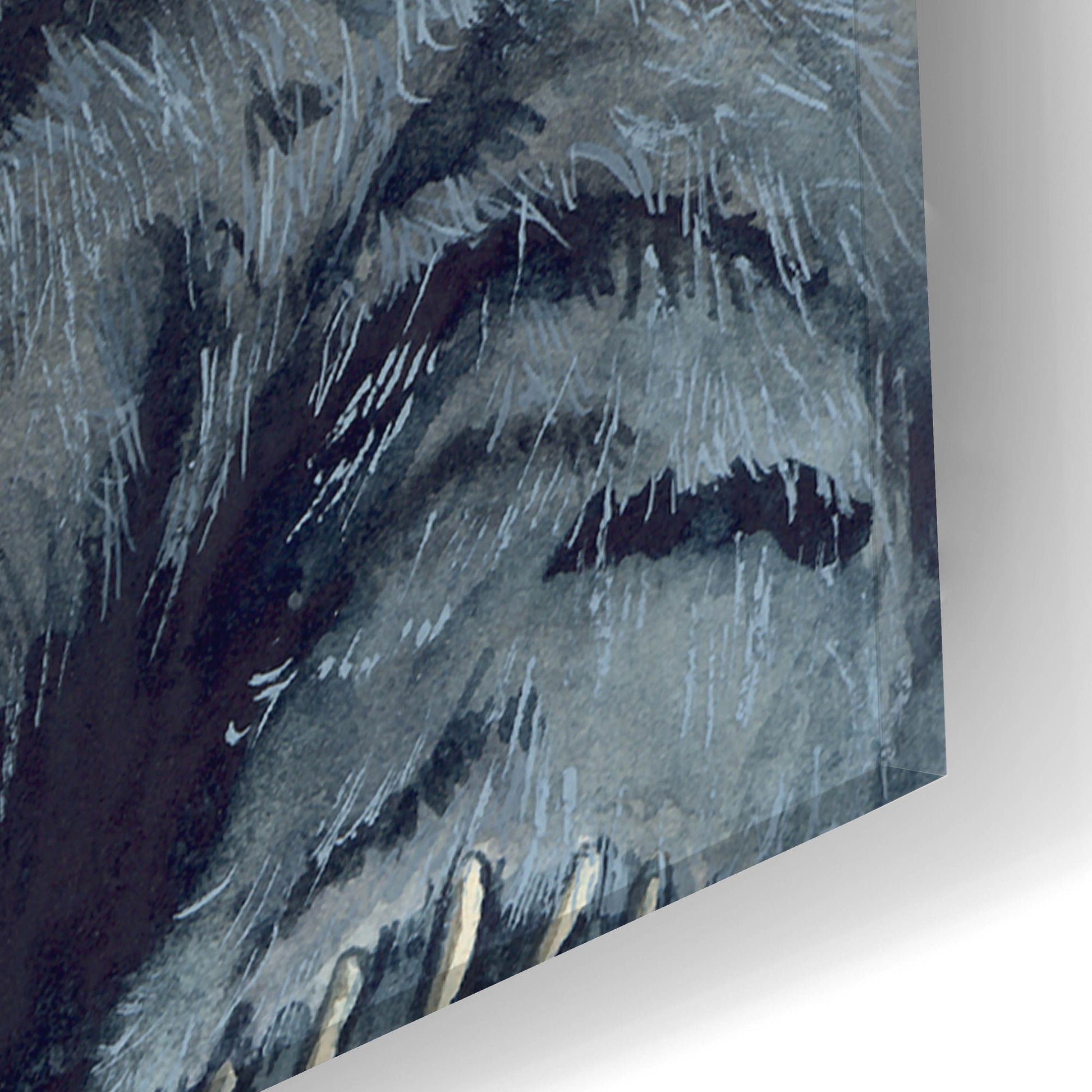 Epic Art 'Gadabout' by Maggie Vandewalle, Acrylic Glass Wall Art,16x24