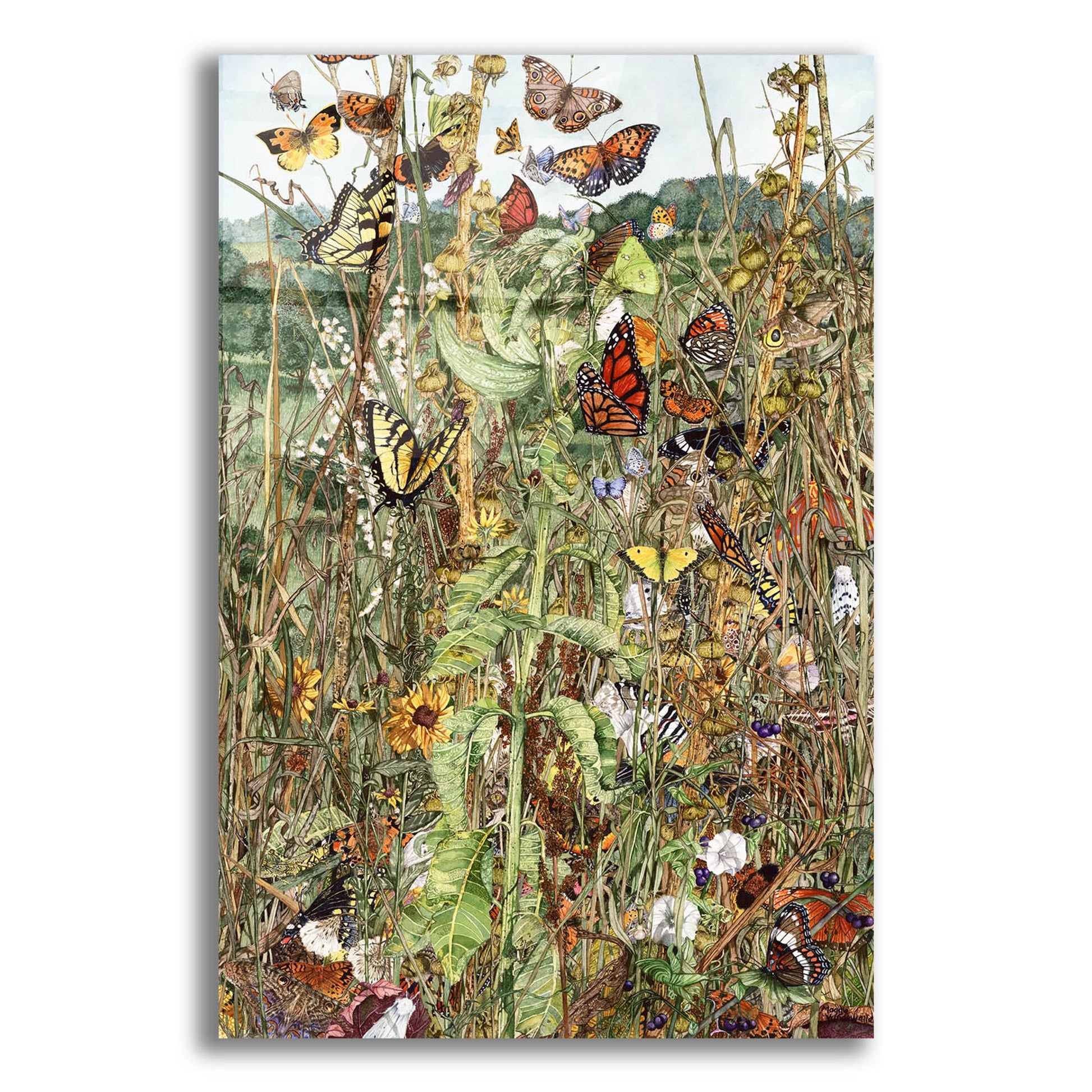 Epic Art 'Late Summer' by Maggie Vandewalle, Acrylic Glass Wall Art