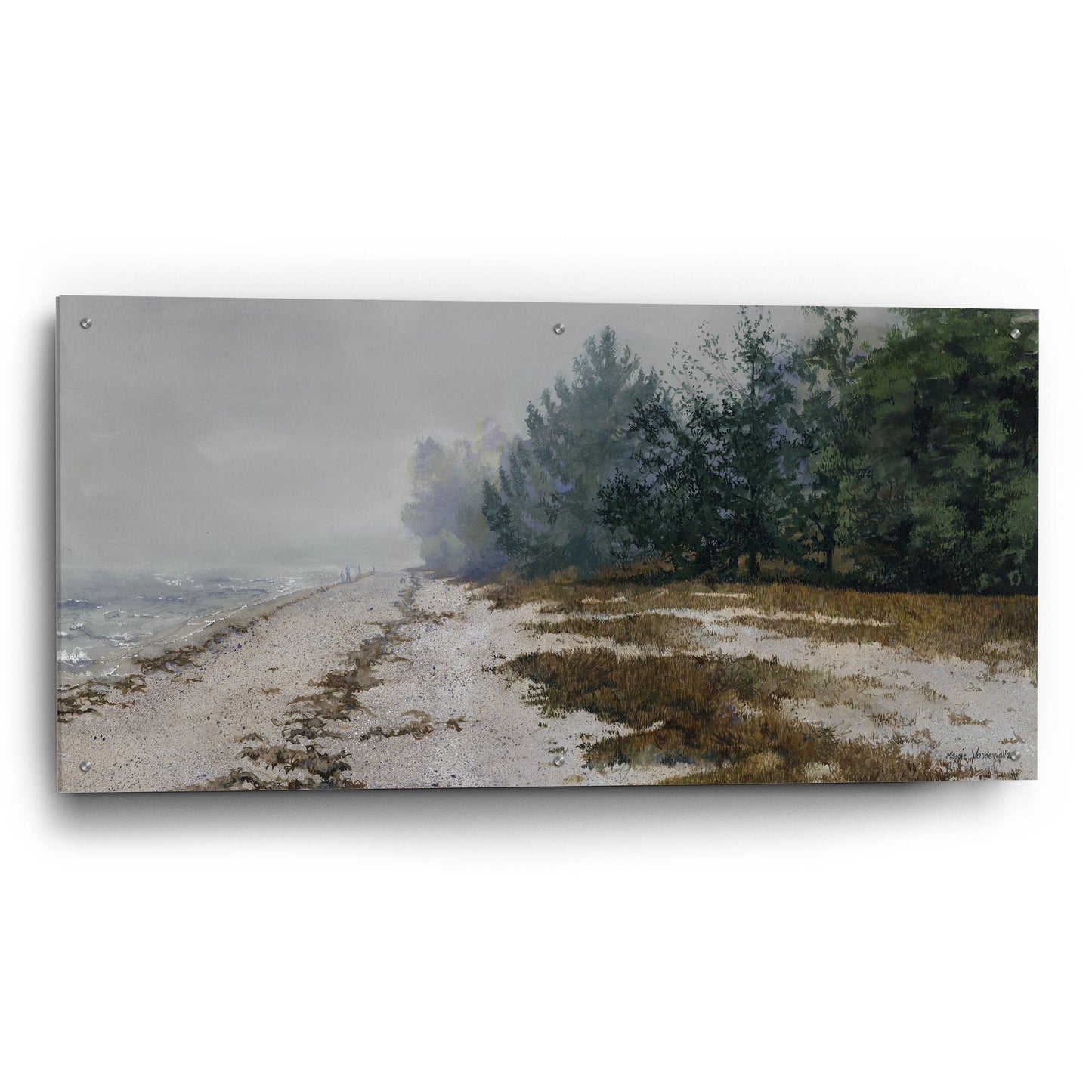 Epic Art 'Morning Fog' by Maggie Vandewalle, Acrylic Glass Wall Art,48x24