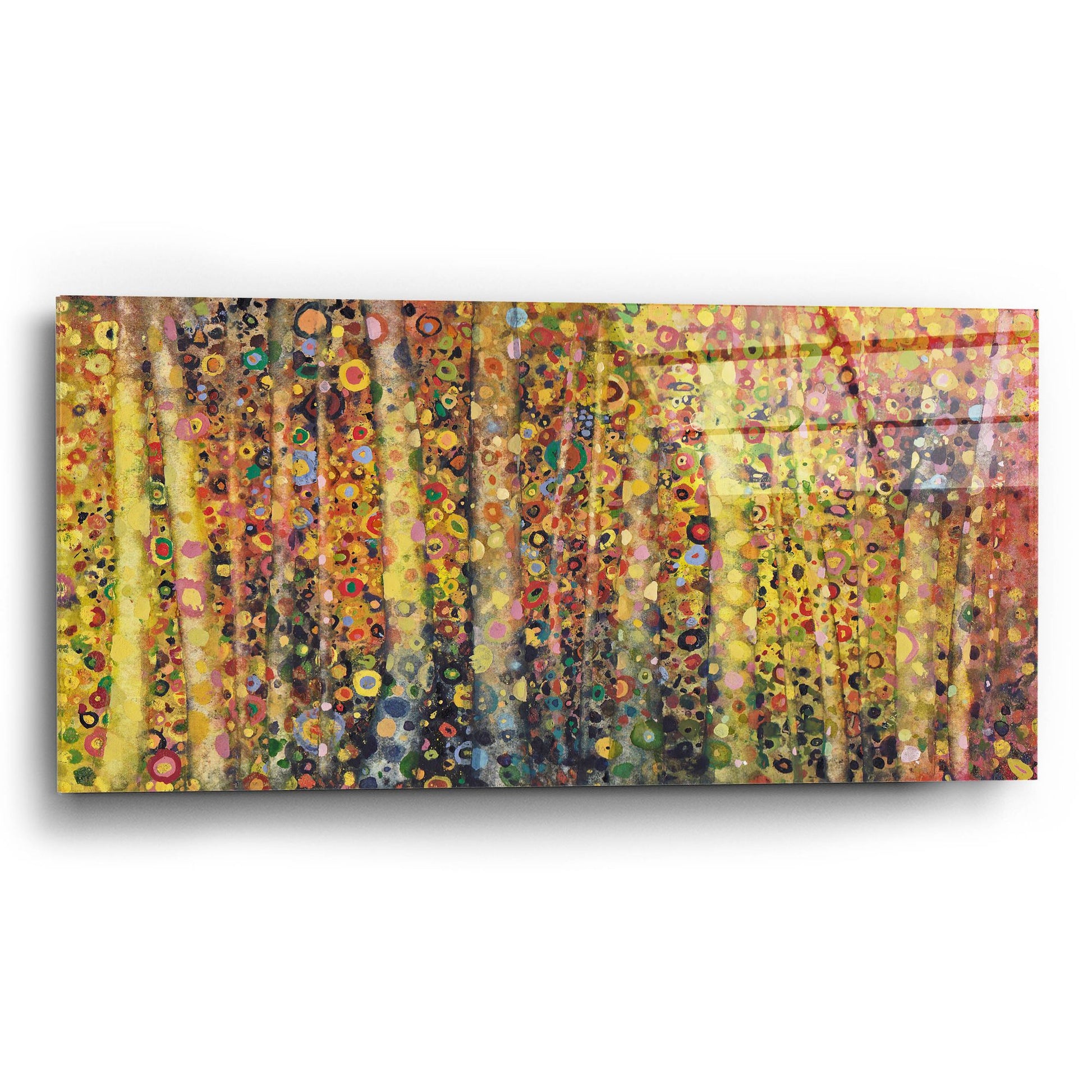 Epic Art 'Refracted' by Maggie Vandewalle, Acrylic Glass Wall Art,24x12