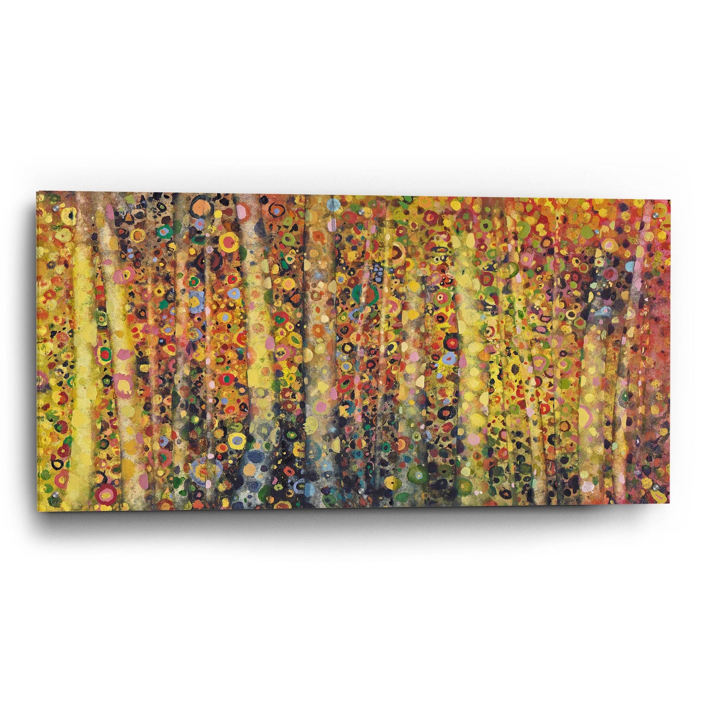 Epic Art 'Refracted' by Maggie Vandewalle, Acrylic Glass Wall Art,48x24