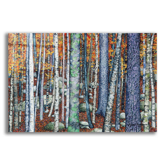 Epic Art 'Sticks and Stones' by Maggie Vandewalle, Acrylic Glass Wall Art