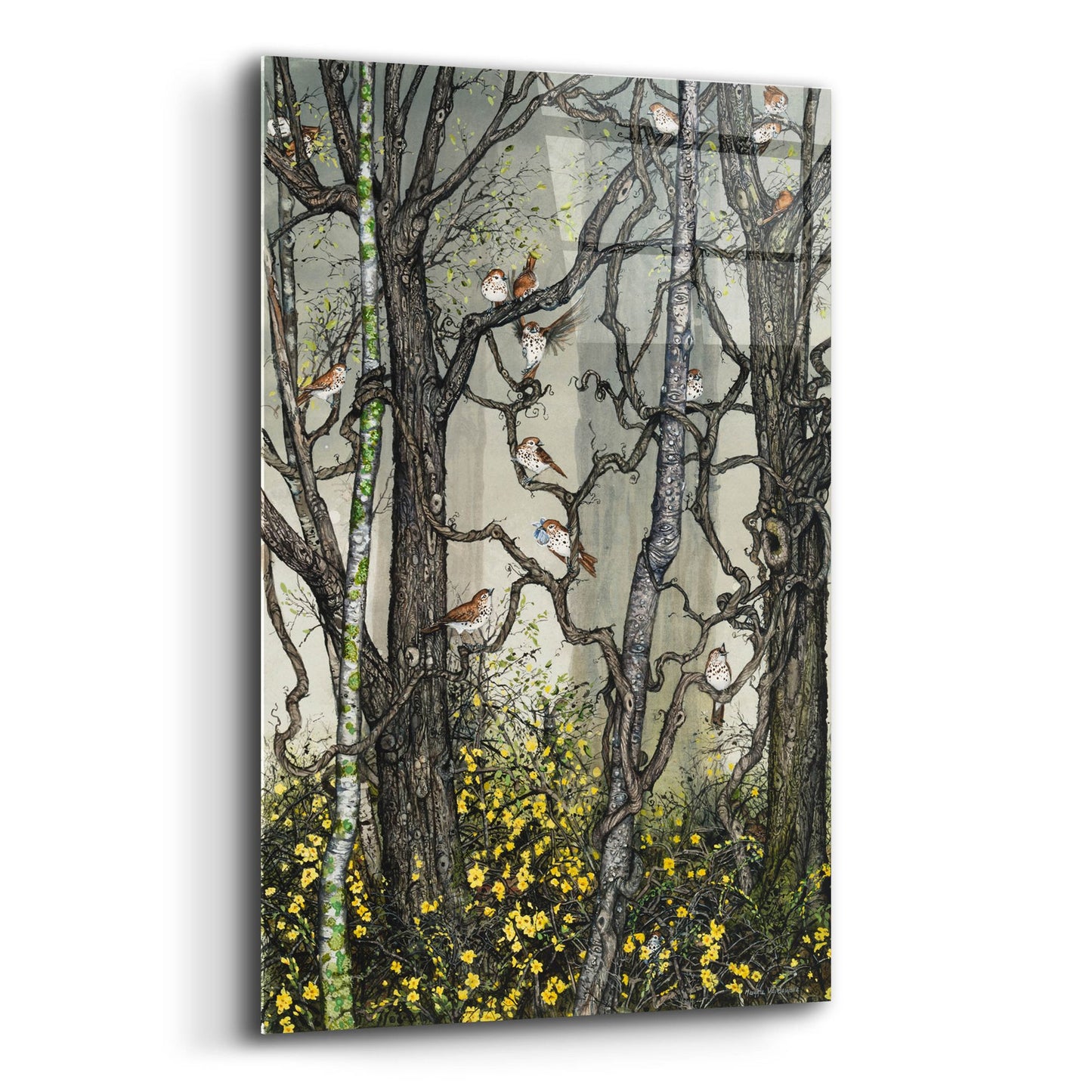 Epic Art 'Winter Jasmine' by Maggie Vandewalle, Acrylic Glass Wall Art,12x16