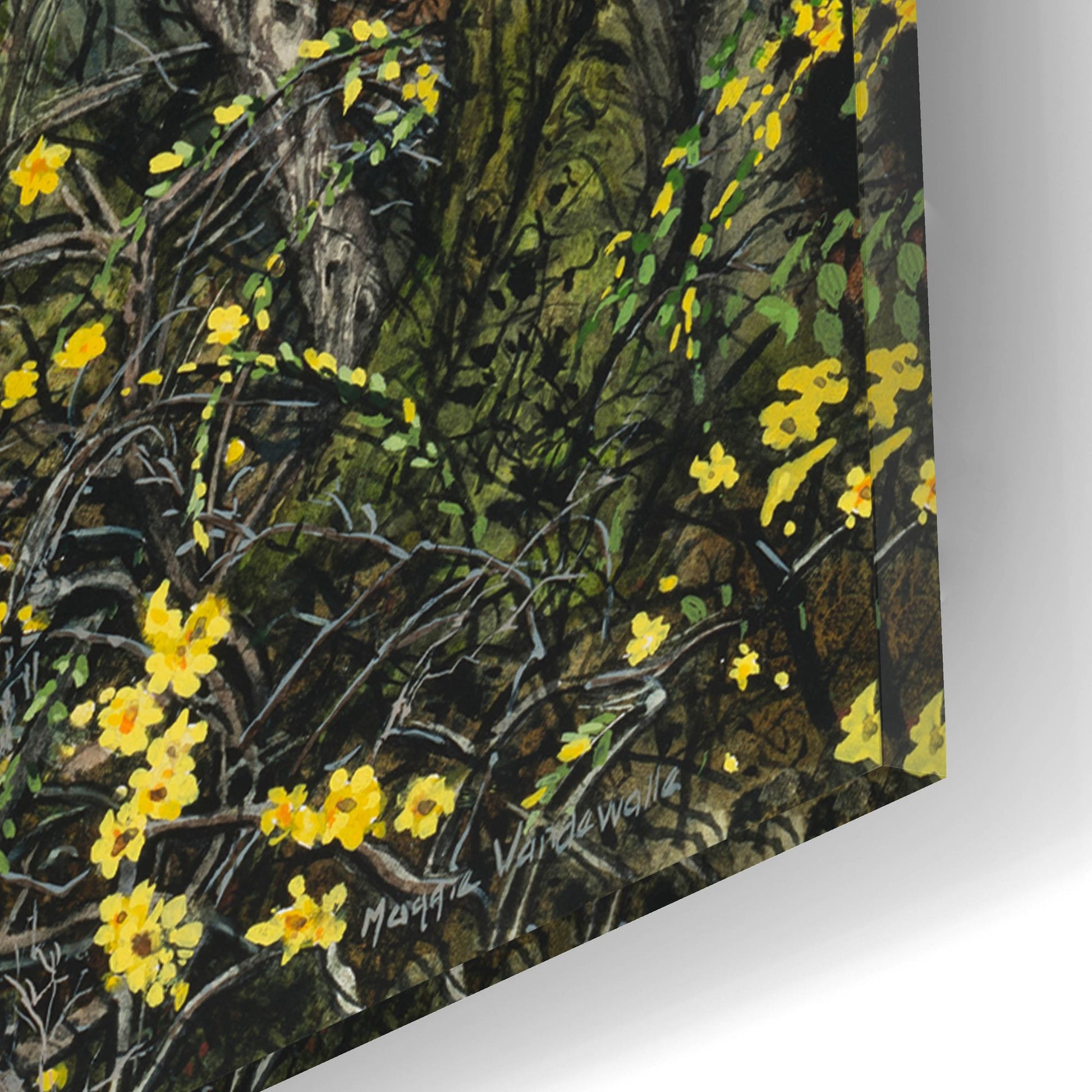 Epic Art 'Winter Jasmine' by Maggie Vandewalle, Acrylic Glass Wall Art,12x16