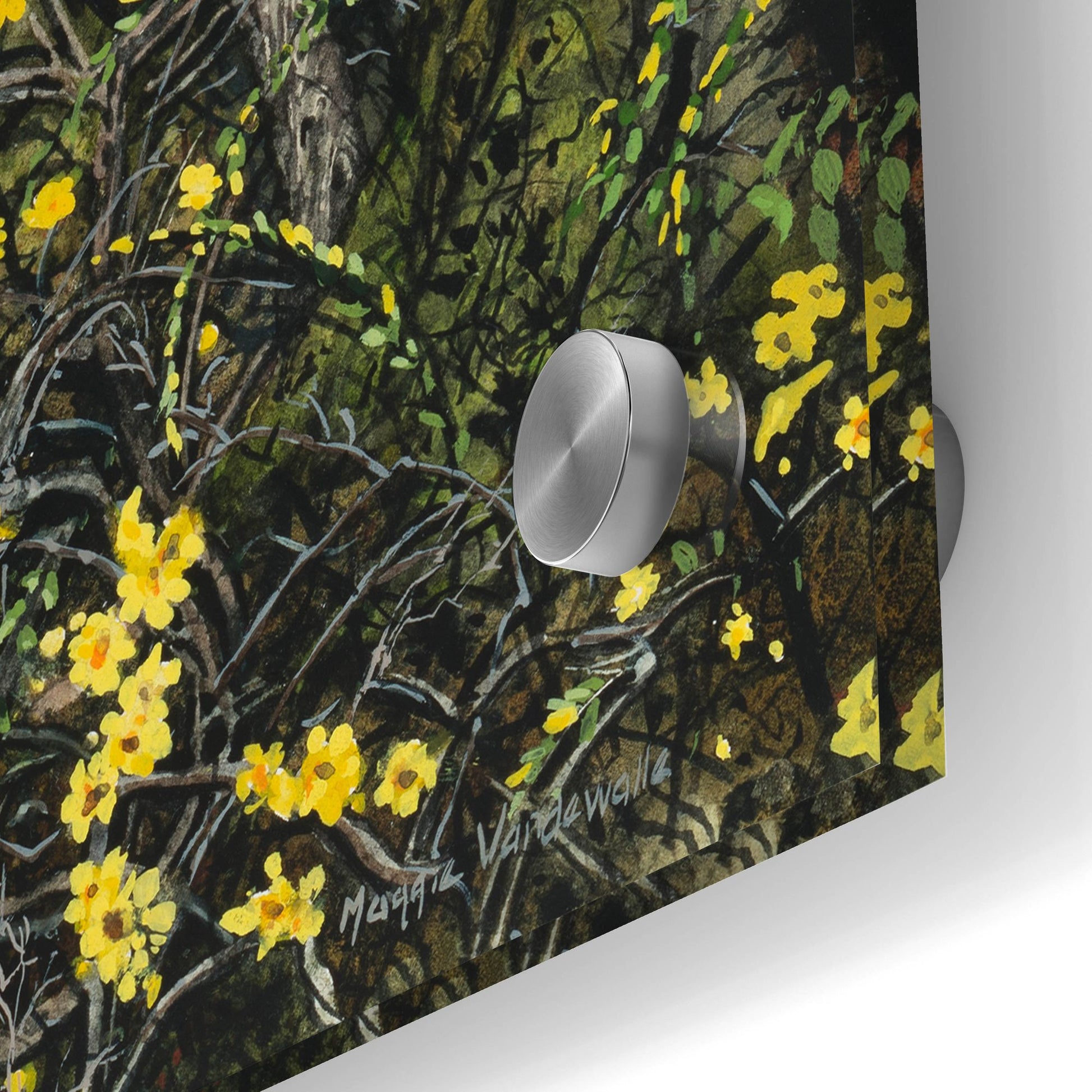 Epic Art 'Winter Jasmine' by Maggie Vandewalle, Acrylic Glass Wall Art,24x36