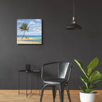 Epic Art 'Inlet Palm I' by Paul Brent, Acrylic Glass Wall Art,24x24