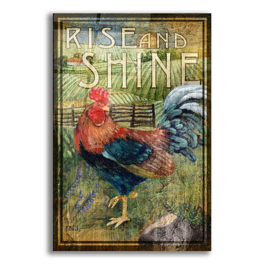 Epic Art 'Rooster Signs II' by Paul Brent, Acrylic Glass Wall Art