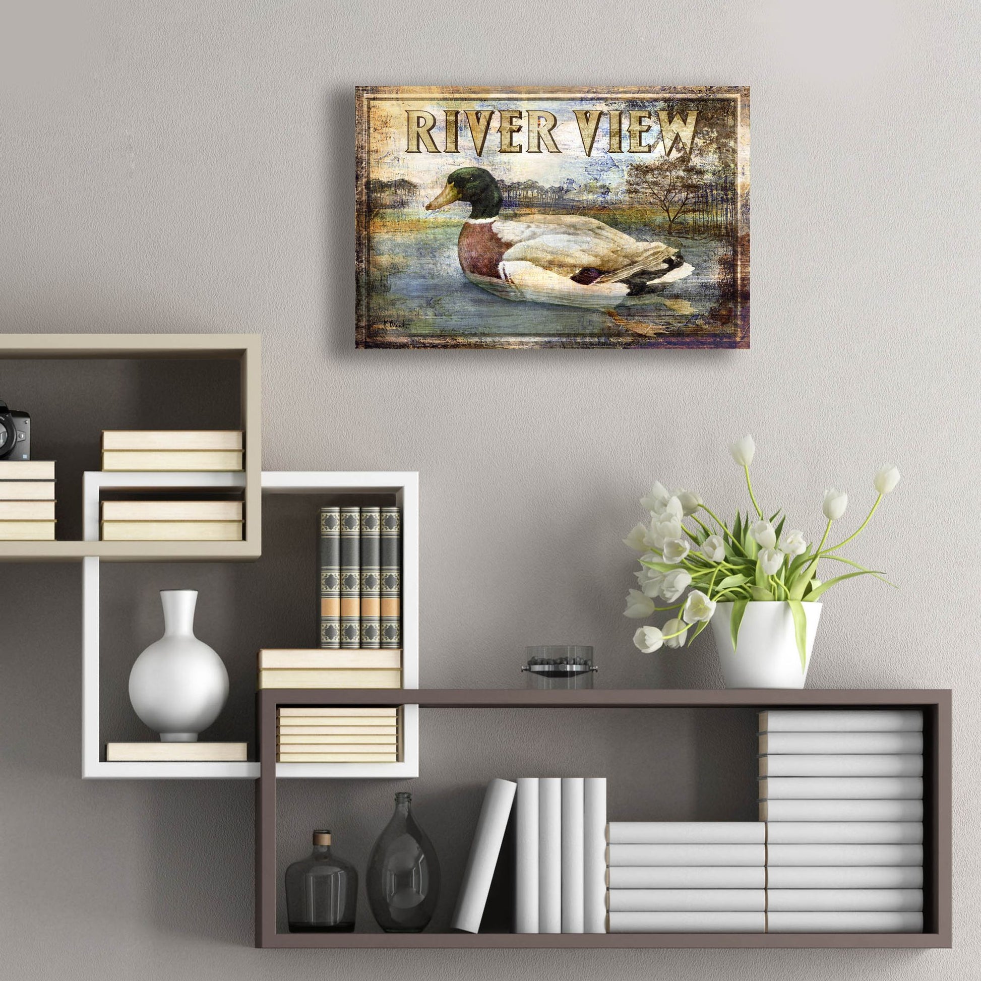 Epic Art 'Duck Sign I' by Paul Brent, Acrylic Glass Wall Art,24x16