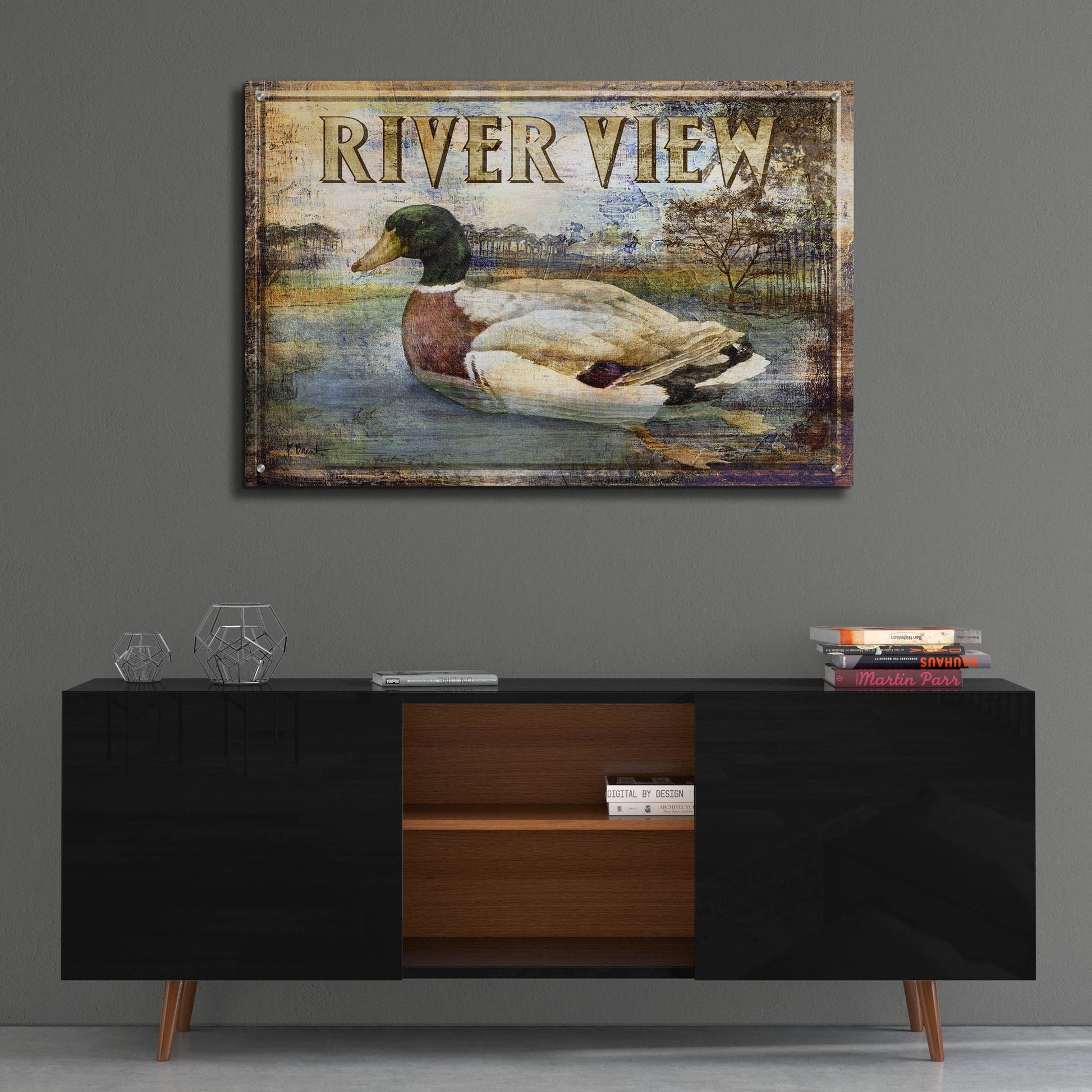 Epic Art 'Duck Sign I' by Paul Brent, Acrylic Glass Wall Art,36x24