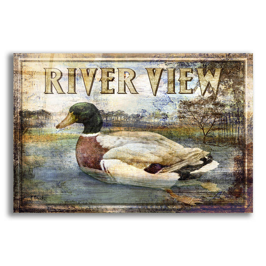 Epic Art 'Duck Sign I' by Paul Brent, Acrylic Glass Wall Art