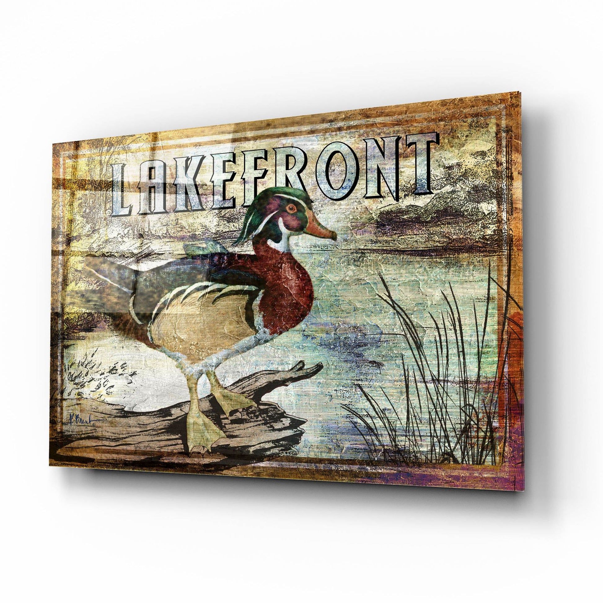 Epic Art 'Duck Sign II' by Paul Brent, Acrylic Glass Wall Art,16x12