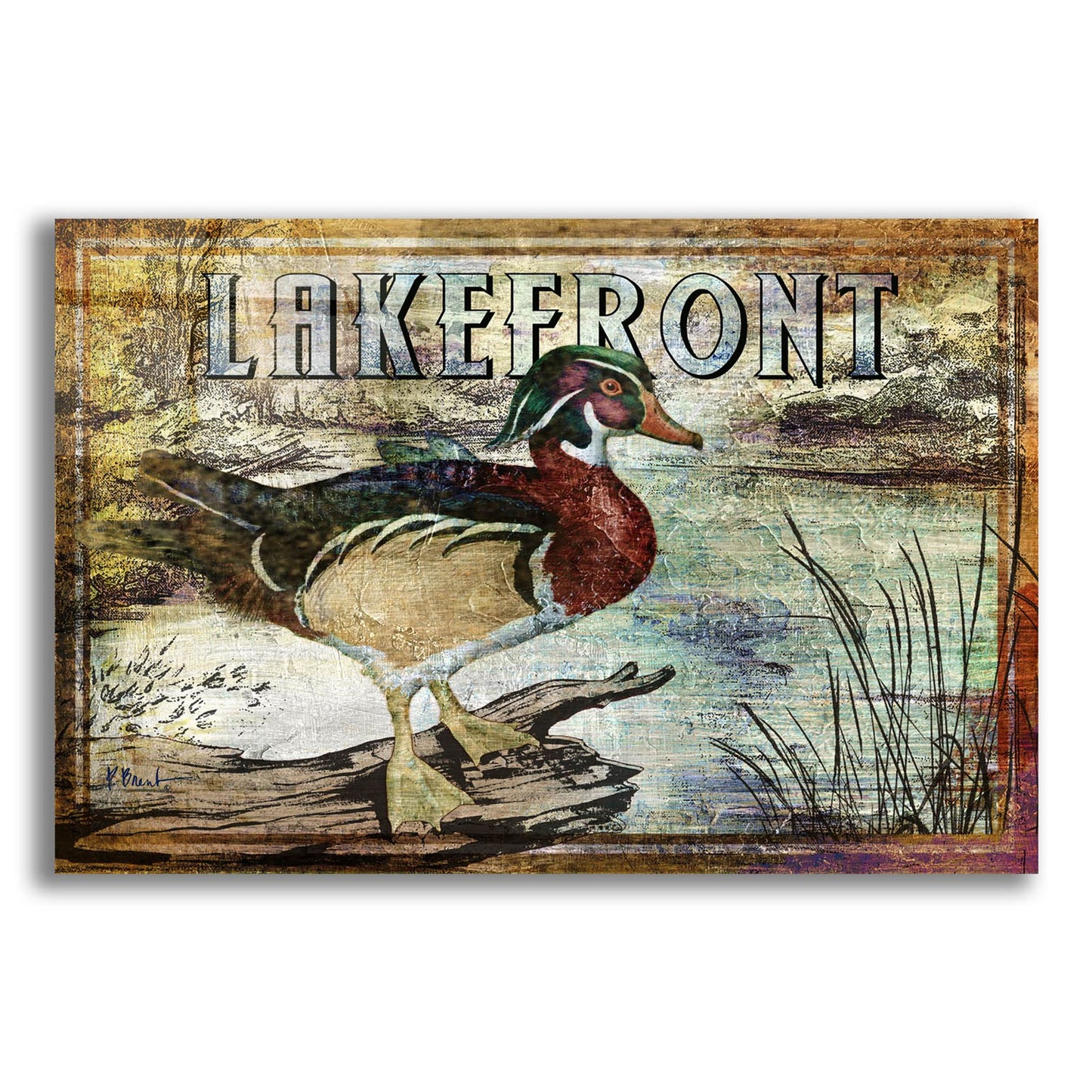 Epic Art 'Duck Sign II' by Paul Brent, Acrylic Glass Wall Art,24x16