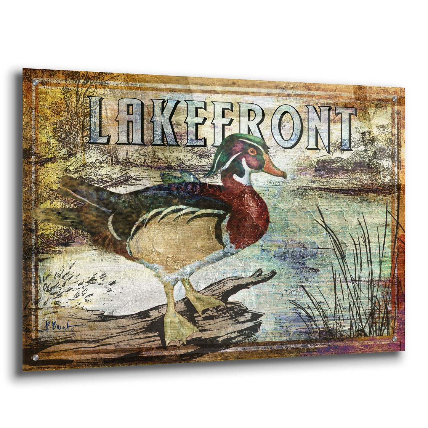 Epic Art 'Duck Sign II' by Paul Brent, Acrylic Glass Wall Art,36x24