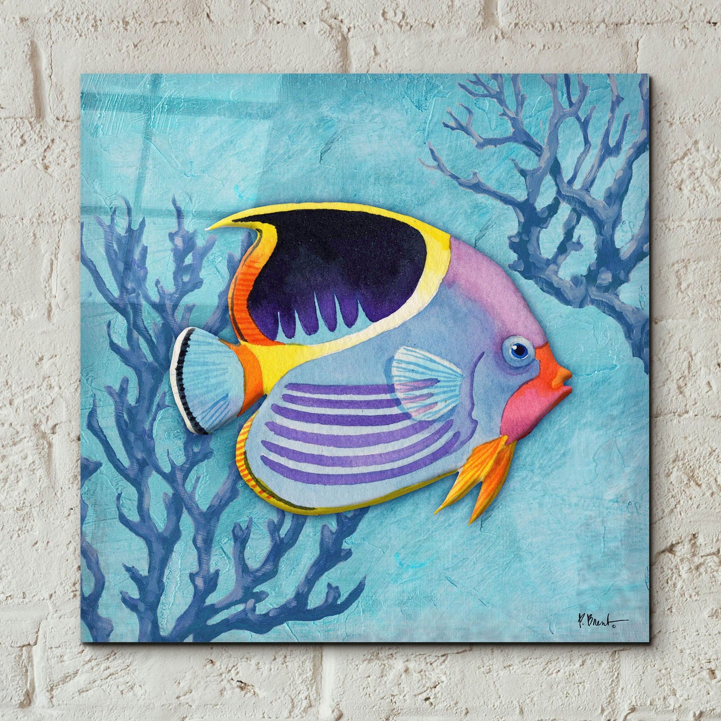 Epic Art 'Azure Tropical Fish I' by Paul Brent, Acrylic Glass Wall Art,12x12