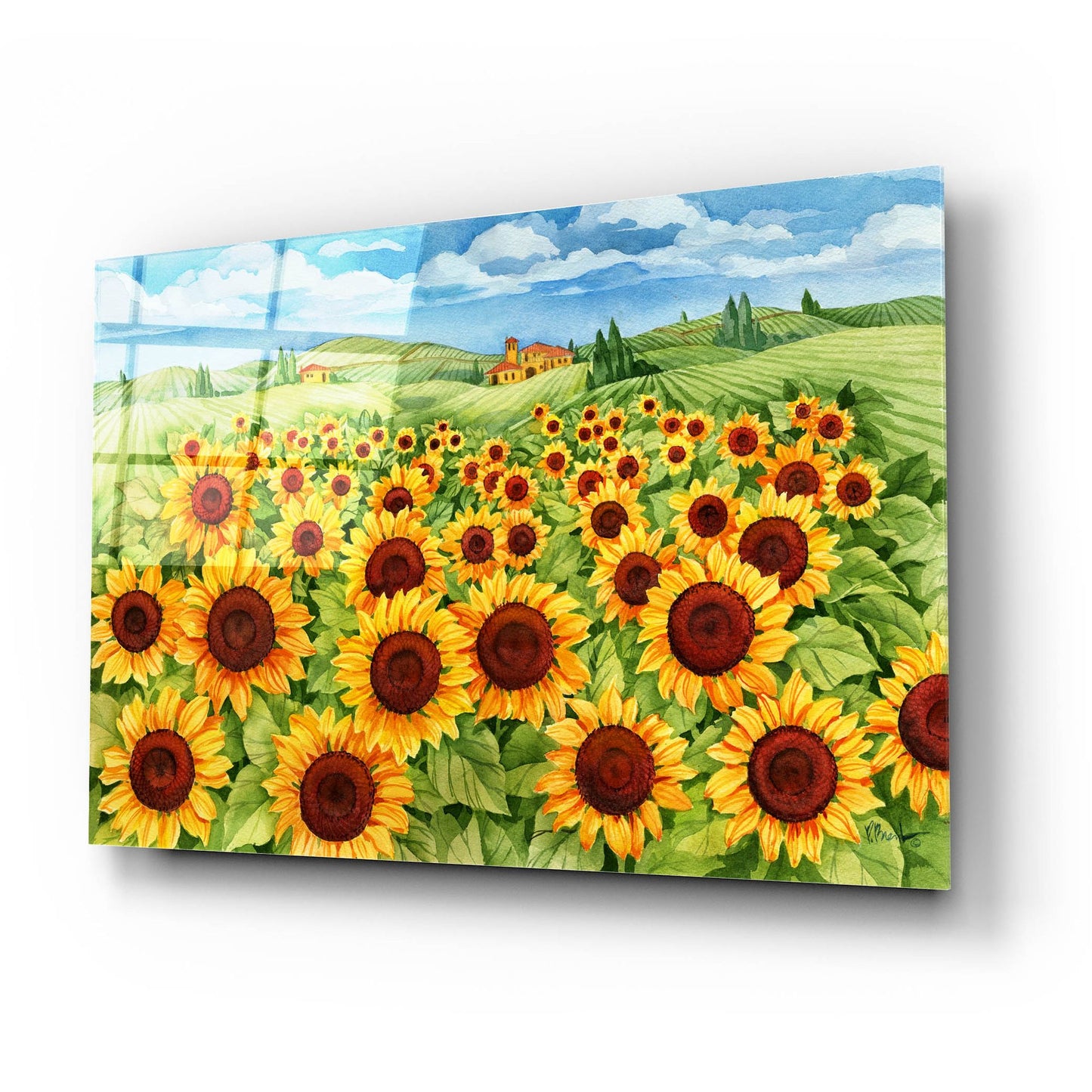 Epic Art 'Sunflower Field' by Paul Brent, Acrylic Glass Wall Art,24x16