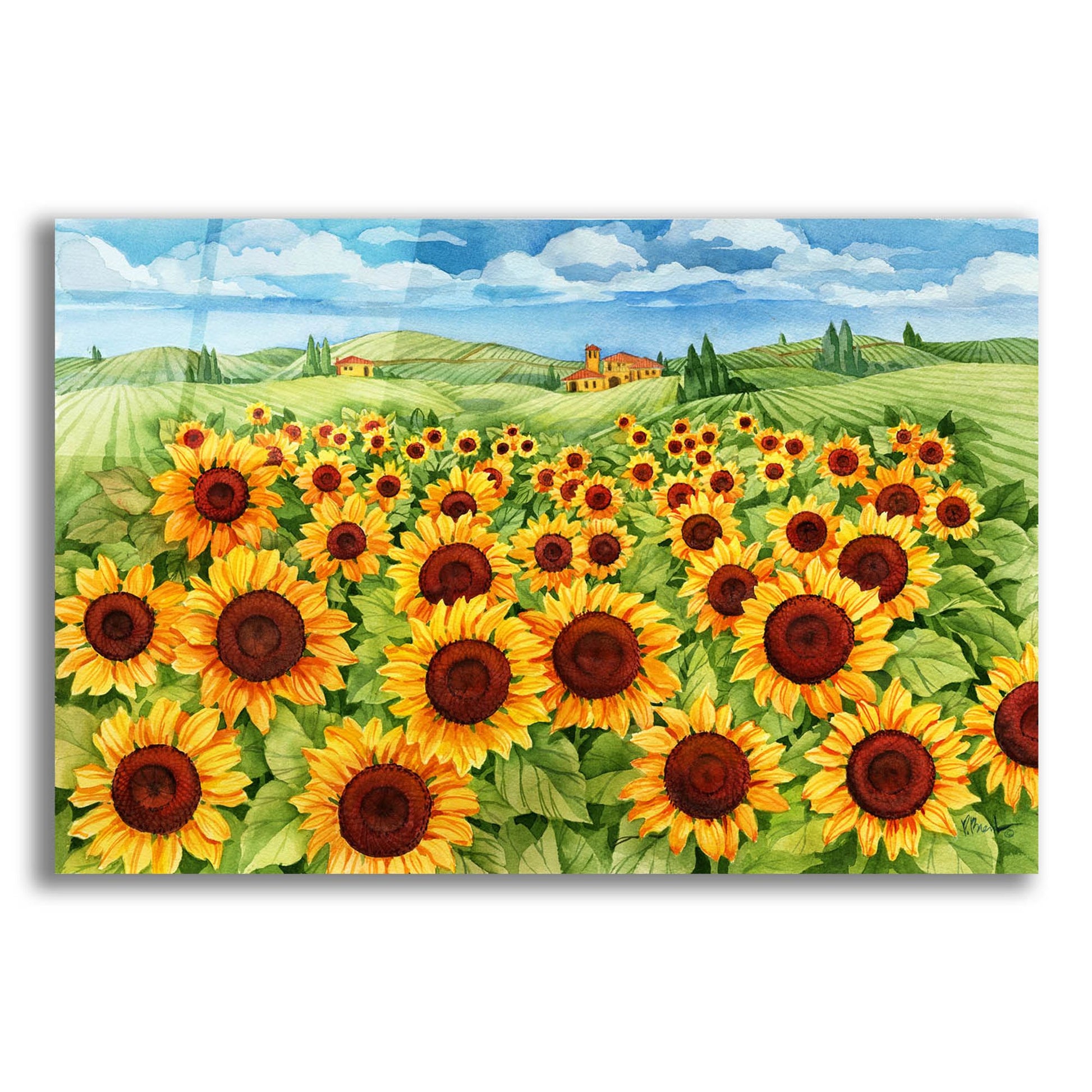 Epic Art 'Sunflower Field' by Paul Brent, Acrylic Glass Wall Art,24x16