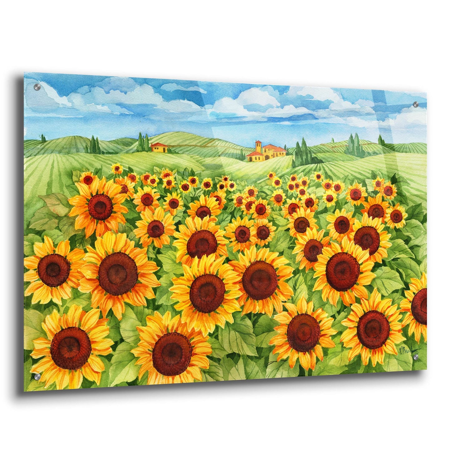 Epic Art 'Sunflower Field' by Paul Brent, Acrylic Glass Wall Art,36x24