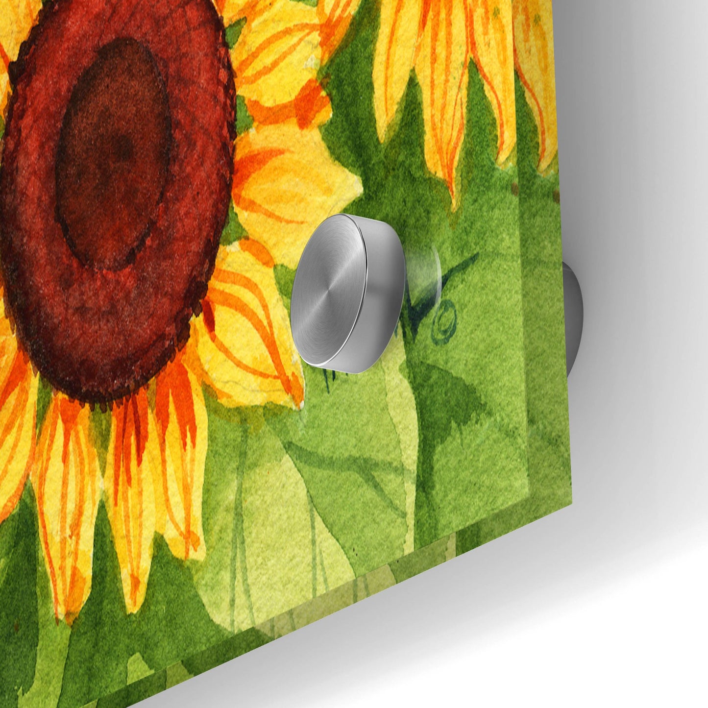 Epic Art 'Sunflower Field' by Paul Brent, Acrylic Glass Wall Art,36x24