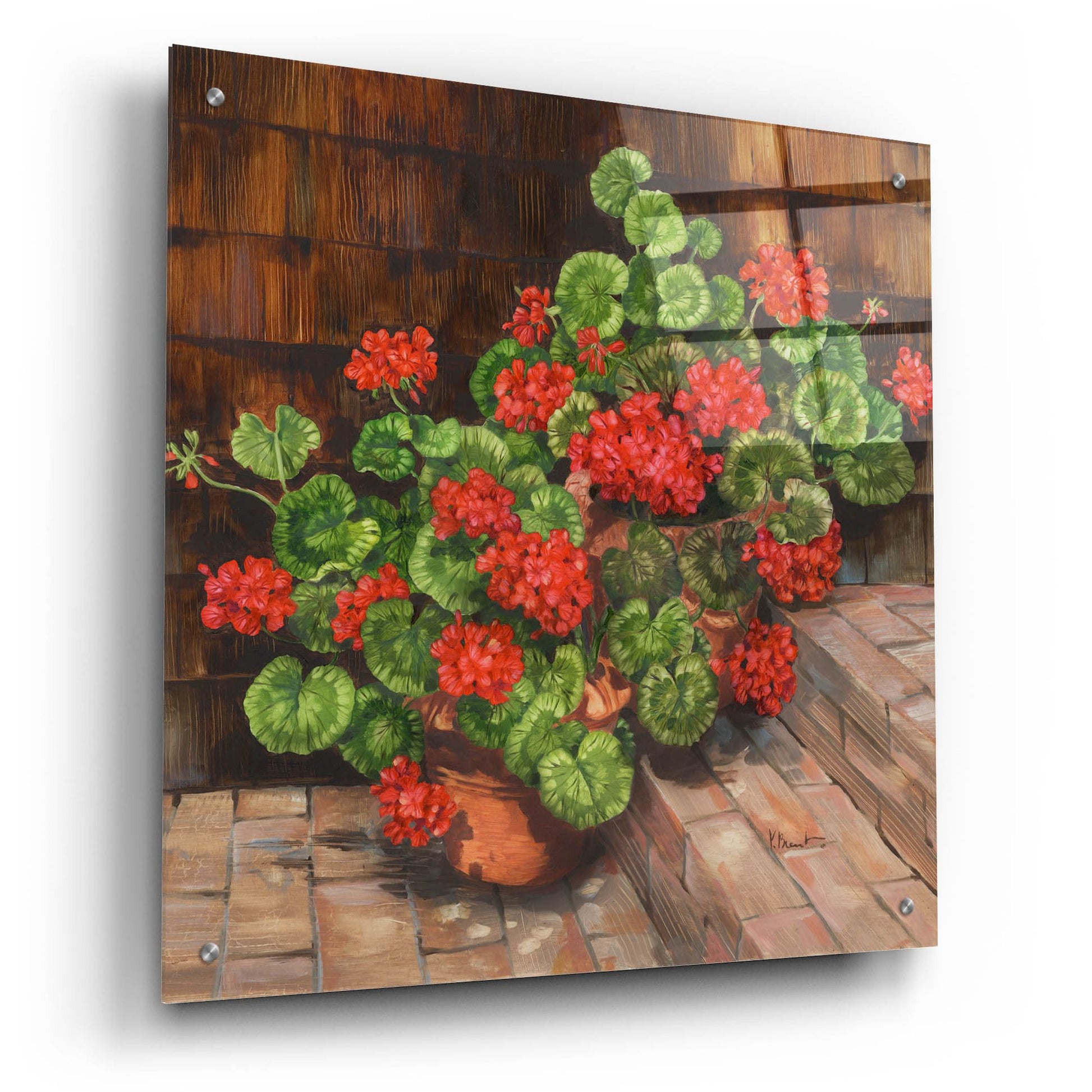 Epic Art 'Summer Geraniums Square' by Paul Brent, Acrylic Glass Wall Art,24x24