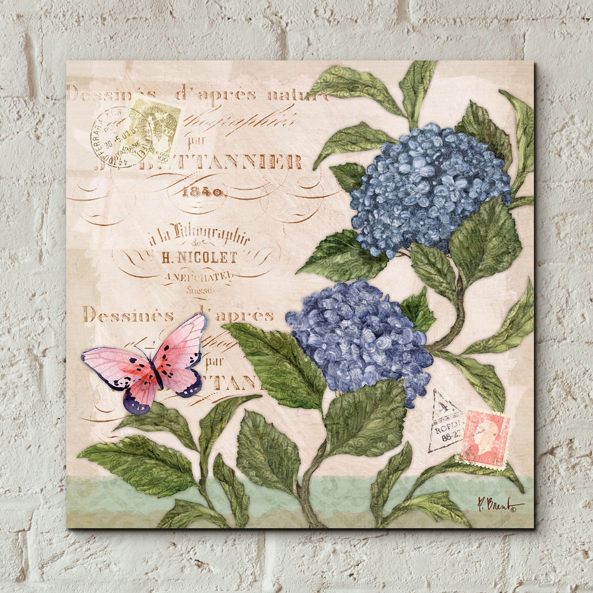 Epic Art 'Parisian Hydrangeas II' by Paul Brent, Acrylic Glass Wall Art,12x12