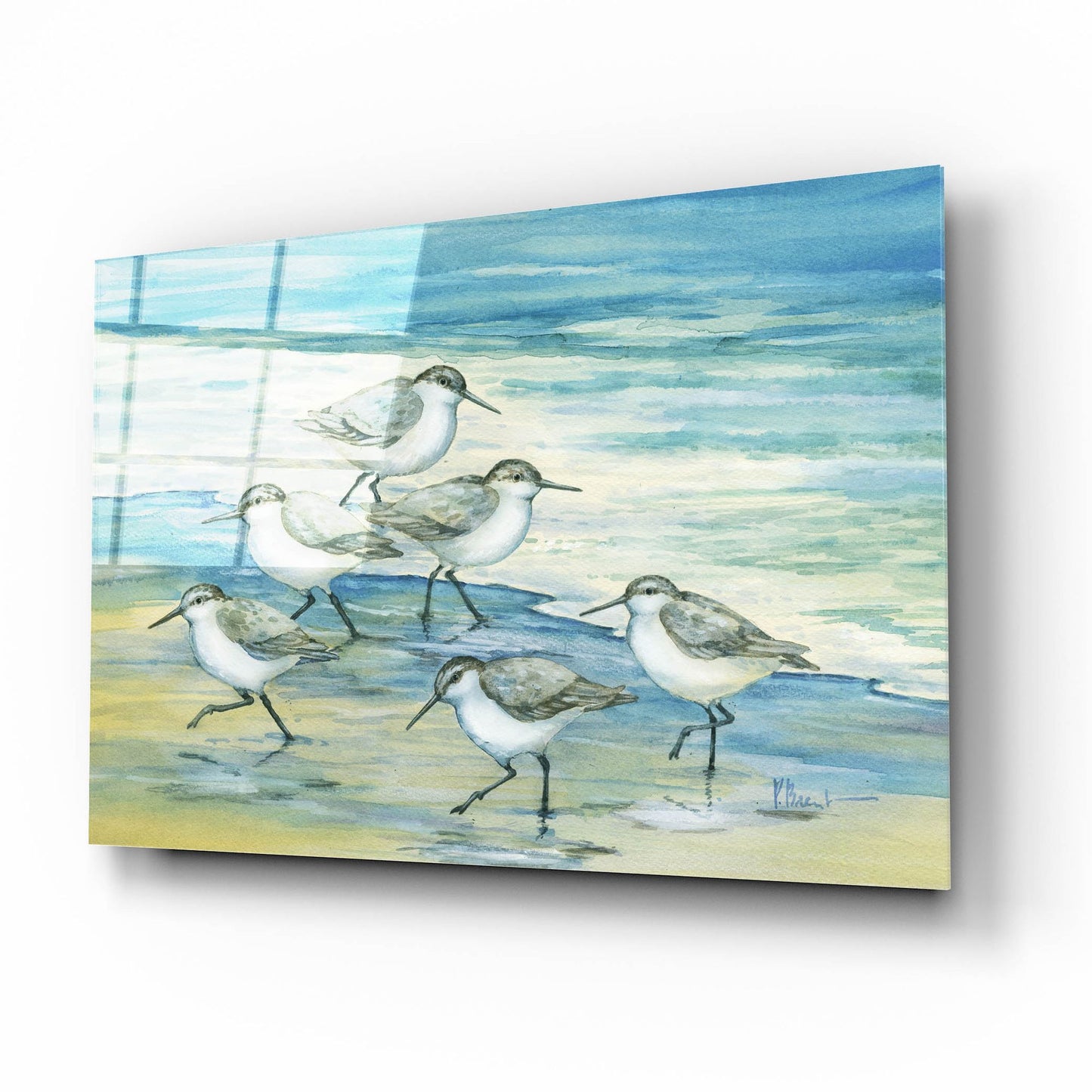 Epic Art 'Surfside Sandpipers' by Paul Brent, Acrylic Glass Wall Art,16x12