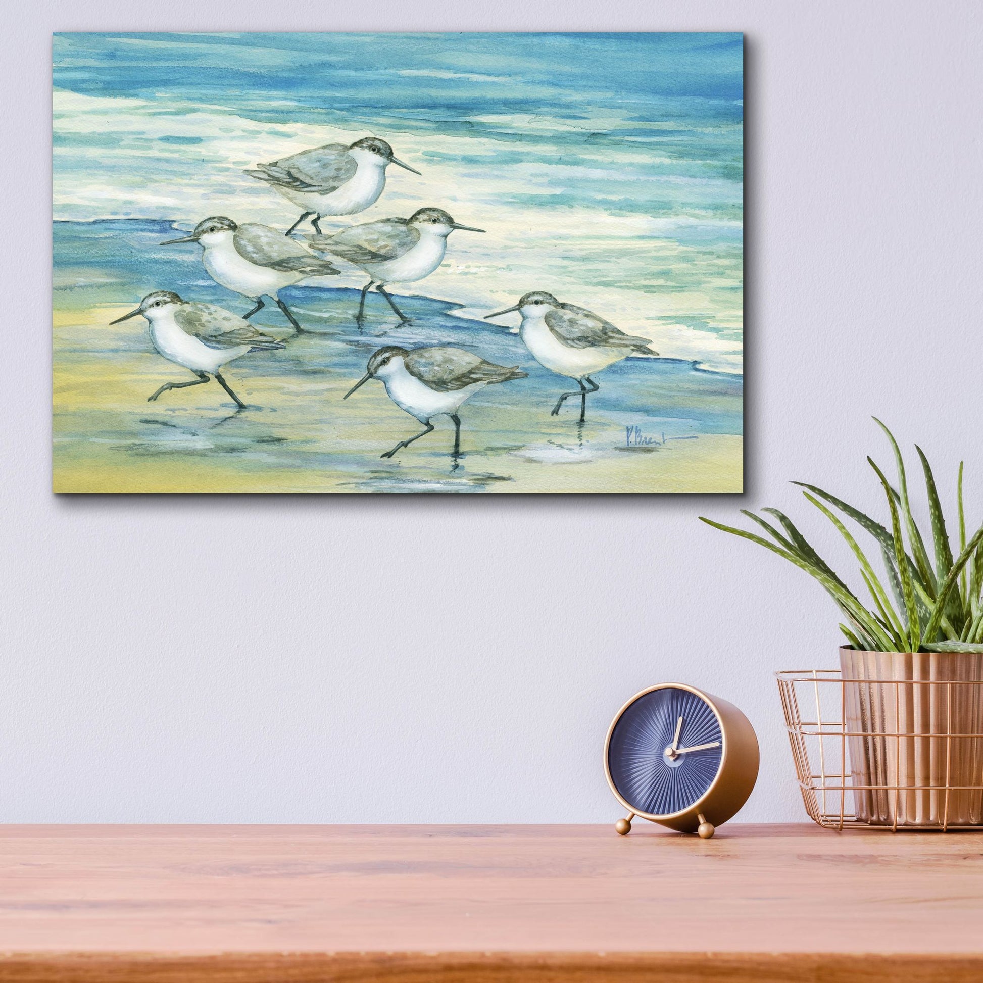 Epic Art 'Surfside Sandpipers' by Paul Brent, Acrylic Glass Wall Art,16x12