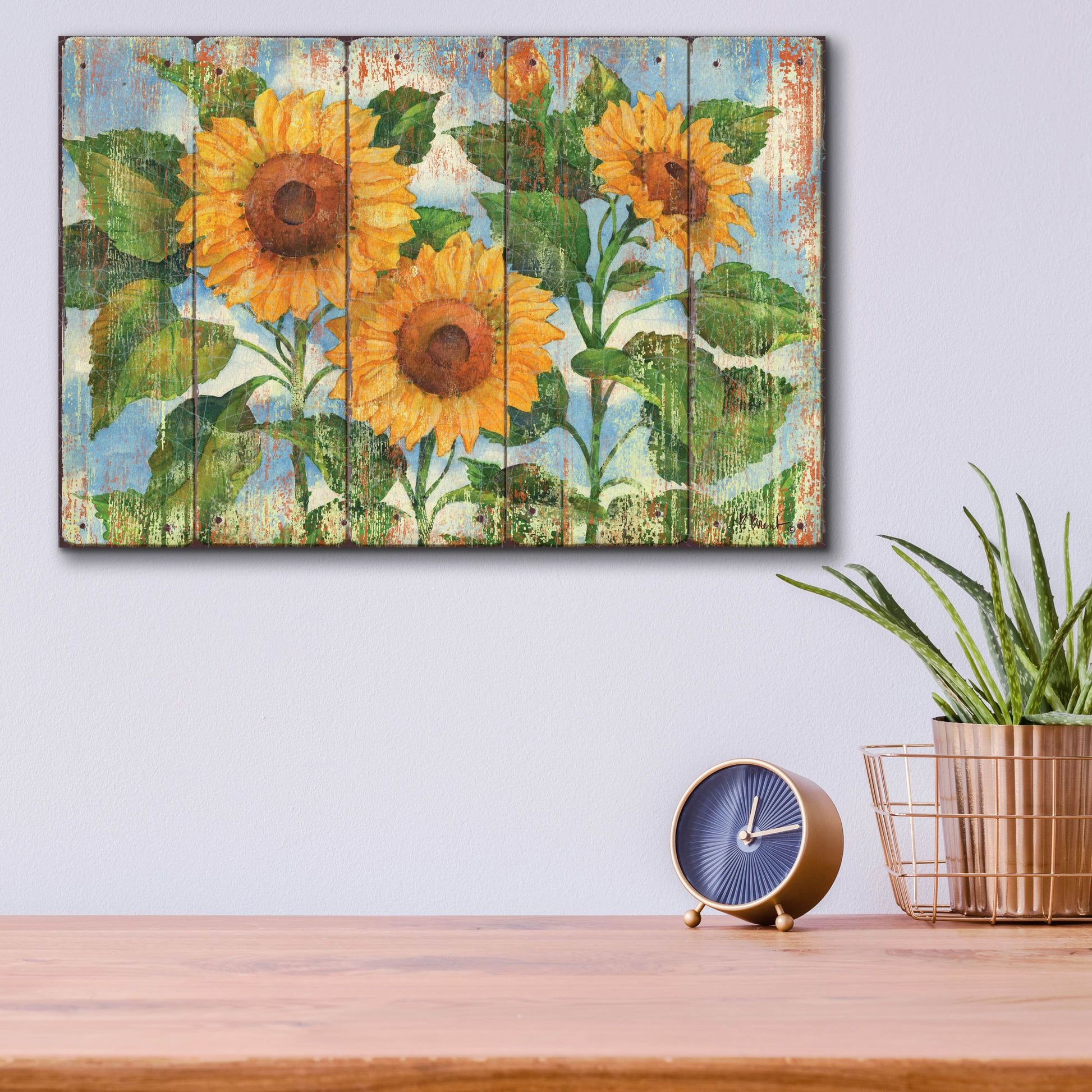 Epic Art 'Summer Sunflowers - Distressed' by Paul Brent, Acrylic Glass Wall Art,16x12