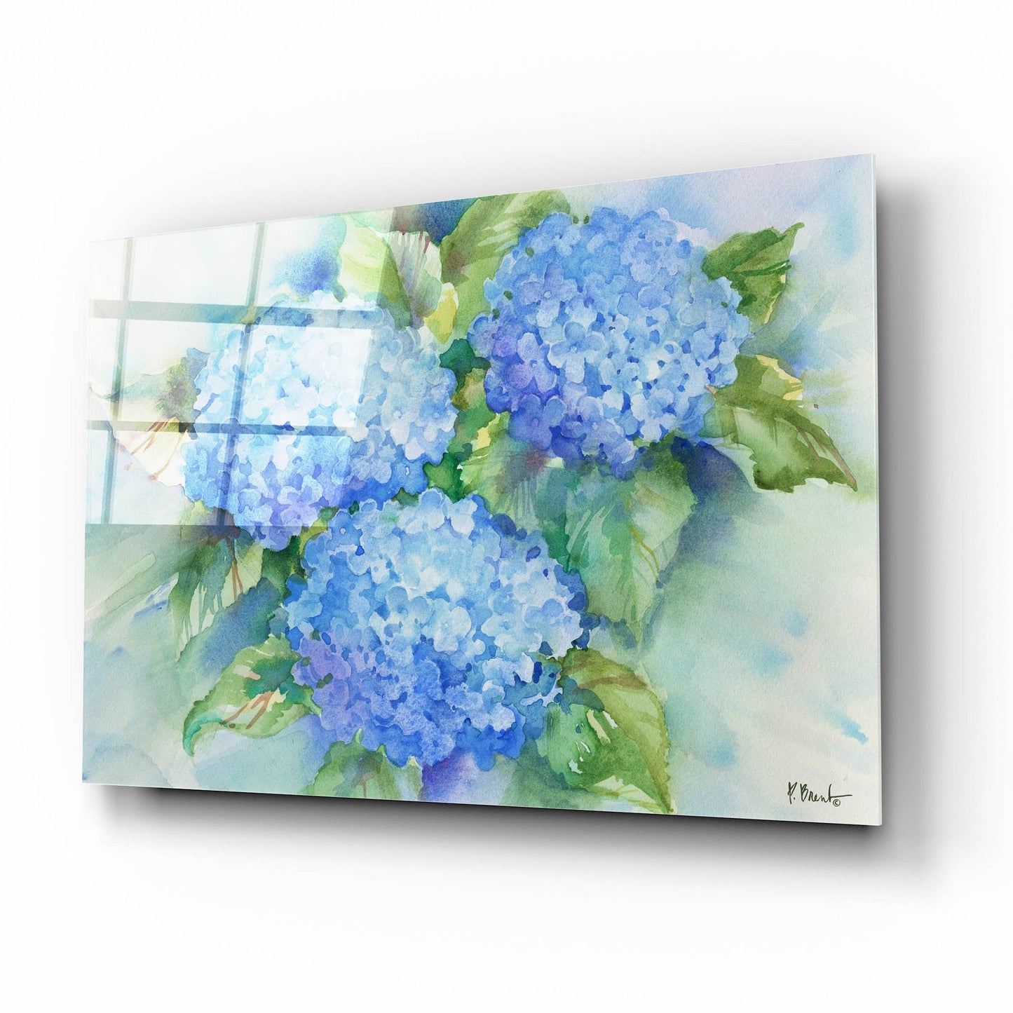 Epic Art 'Sky Blue Hydrangea' by Paul Brent, Acrylic Glass Wall Art,16x12