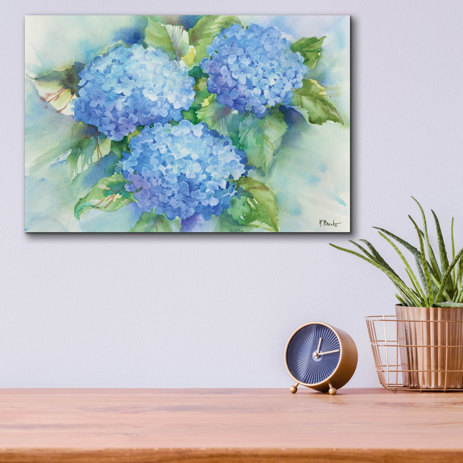 Epic Art 'Sky Blue Hydrangea' by Paul Brent, Acrylic Glass Wall Art,16x12