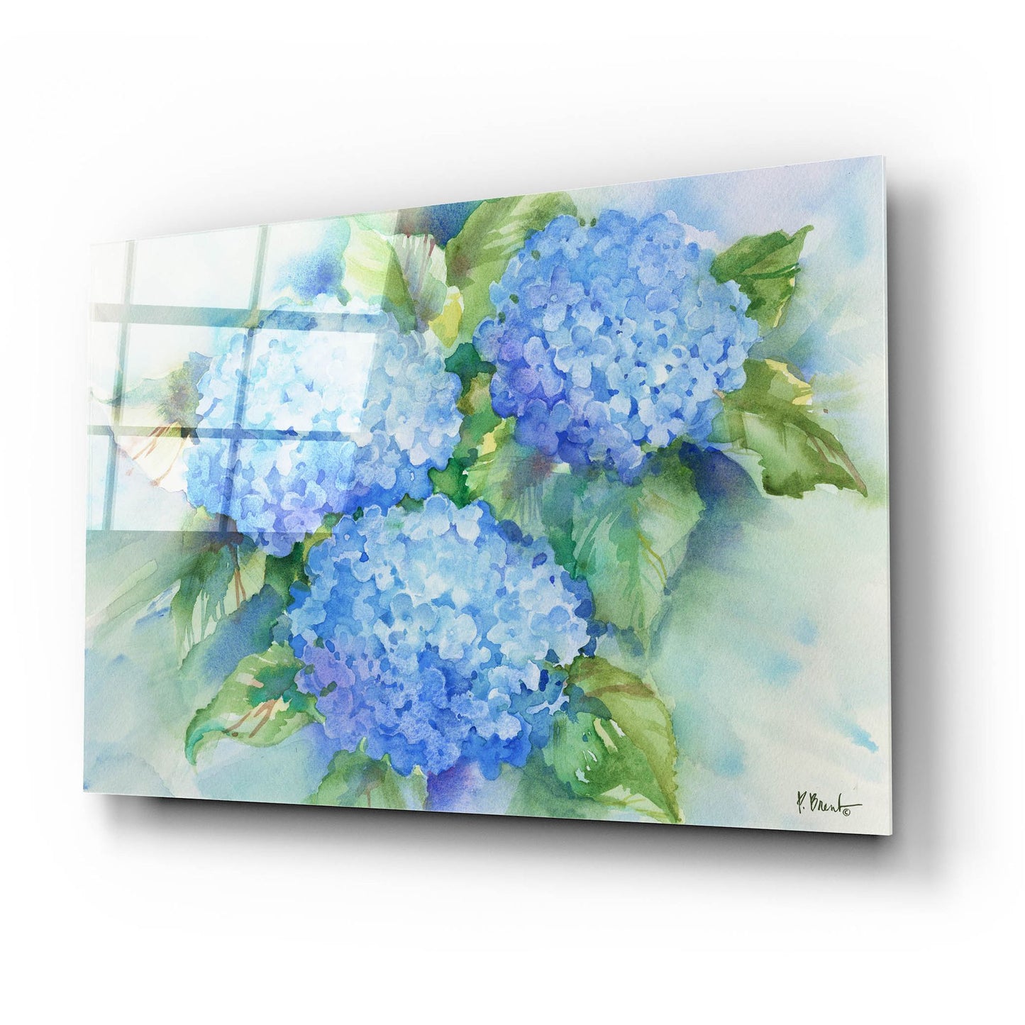 Epic Art 'Sky Blue Hydrangea' by Paul Brent, Acrylic Glass Wall Art,24x16