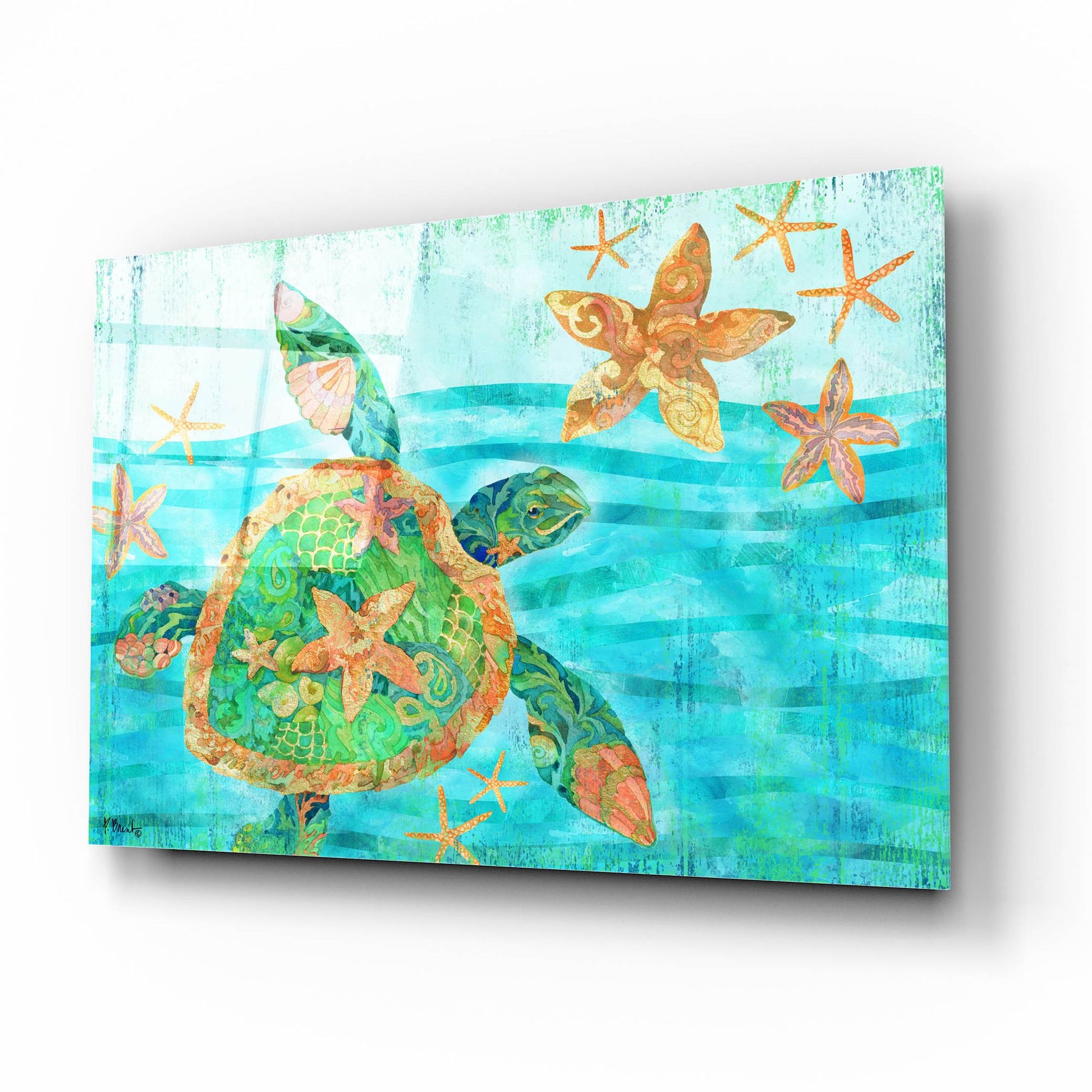 Epic Art 'Nassau Turtle Horizontal I' by Paul Brent, Acrylic Glass Wall Art,16x12