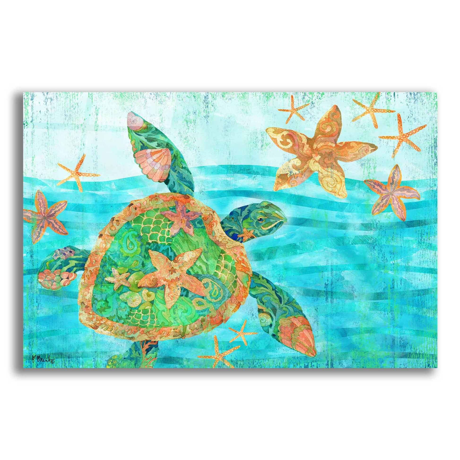 Epic Art 'Nassau Turtle Horizontal I' by Paul Brent, Acrylic Glass Wall Art,24x16