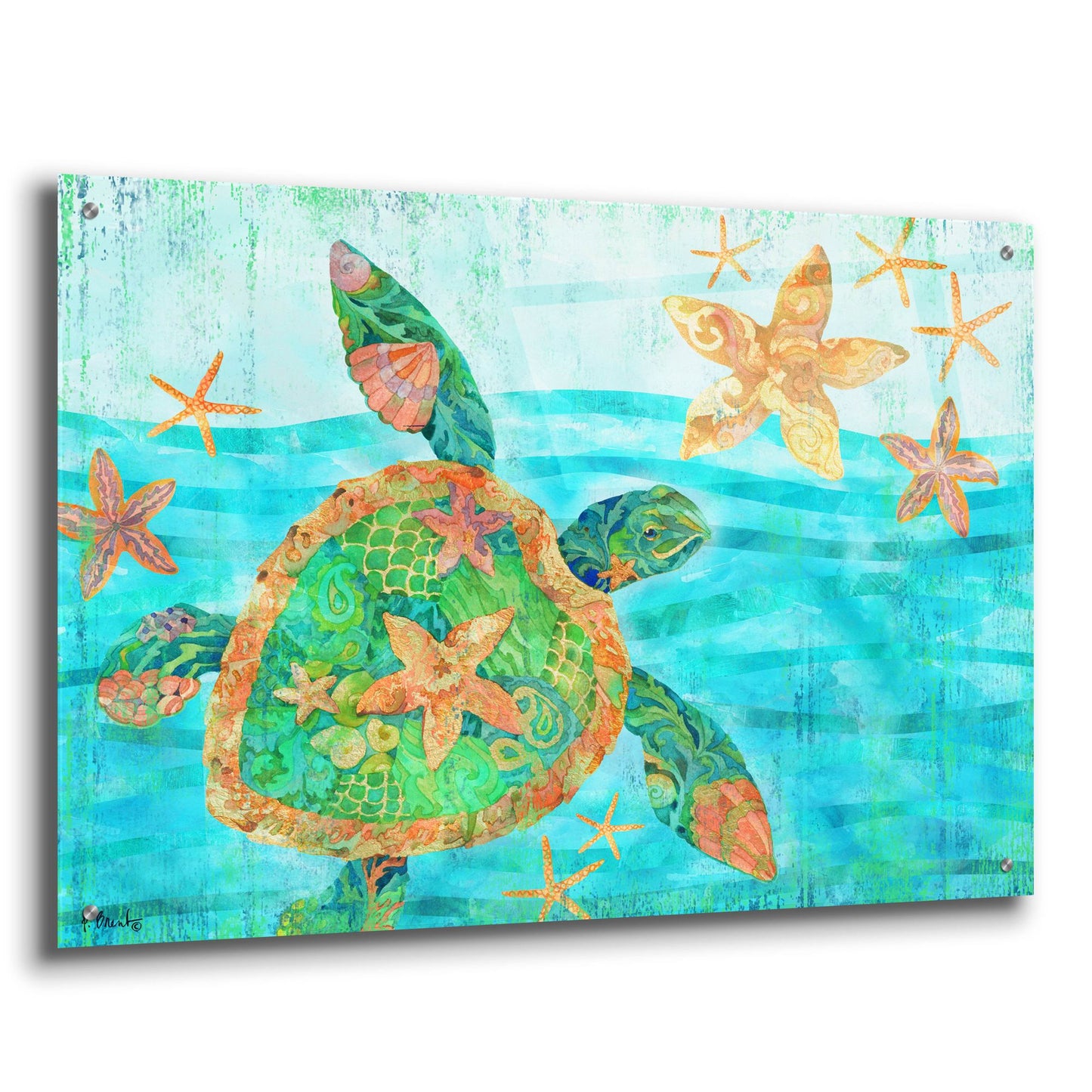 Epic Art 'Nassau Turtle Horizontal I' by Paul Brent, Acrylic Glass Wall Art,36x24