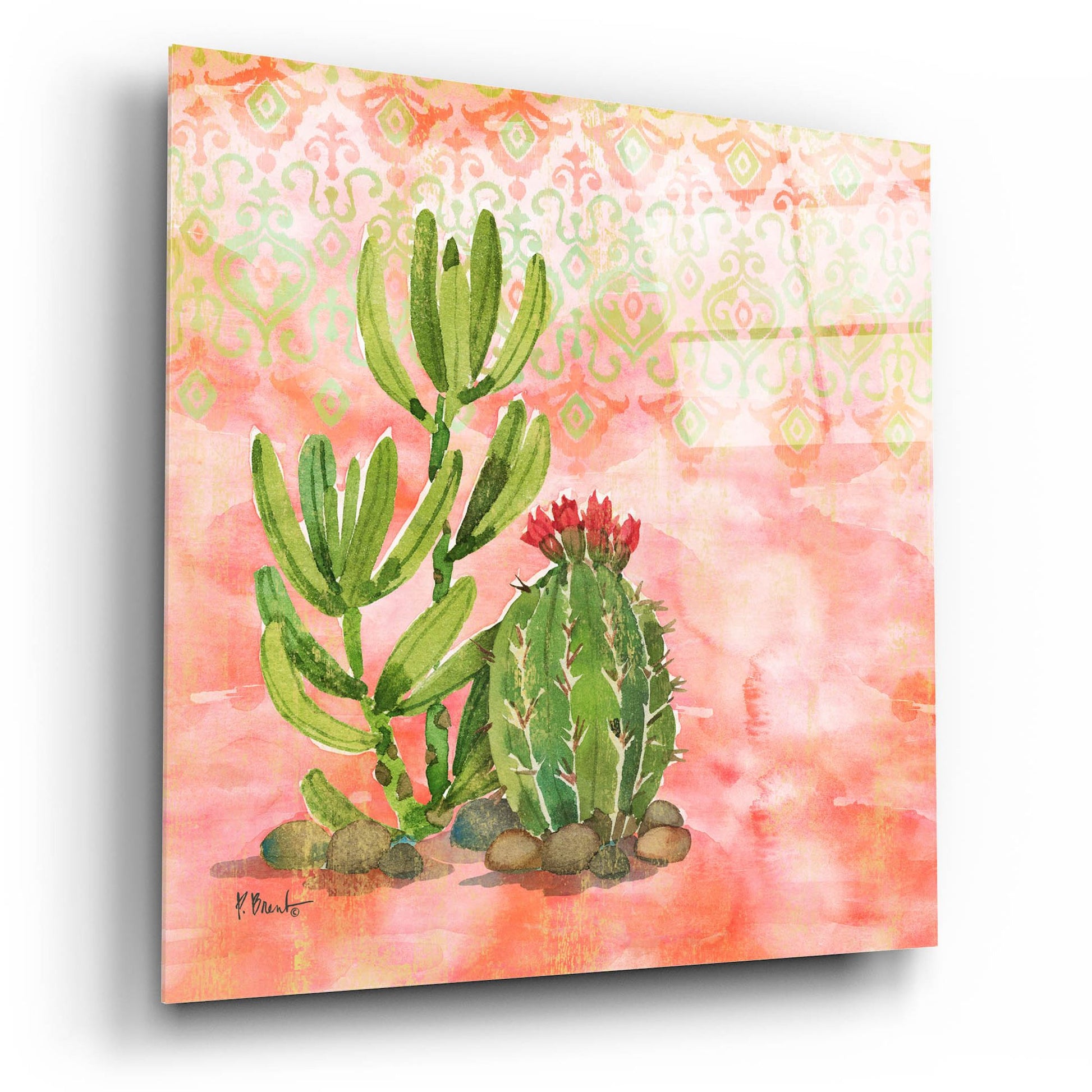 Epic Art 'Cactus III - Coral' by Paul Brent, Acrylic Glass Wall Art,12x12