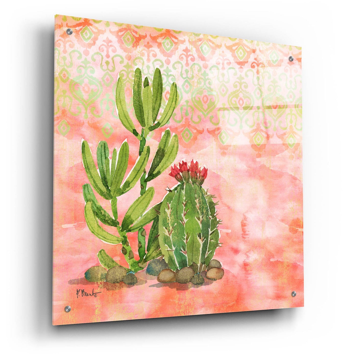 Epic Art 'Cactus III - Coral' by Paul Brent, Acrylic Glass Wall Art,24x24