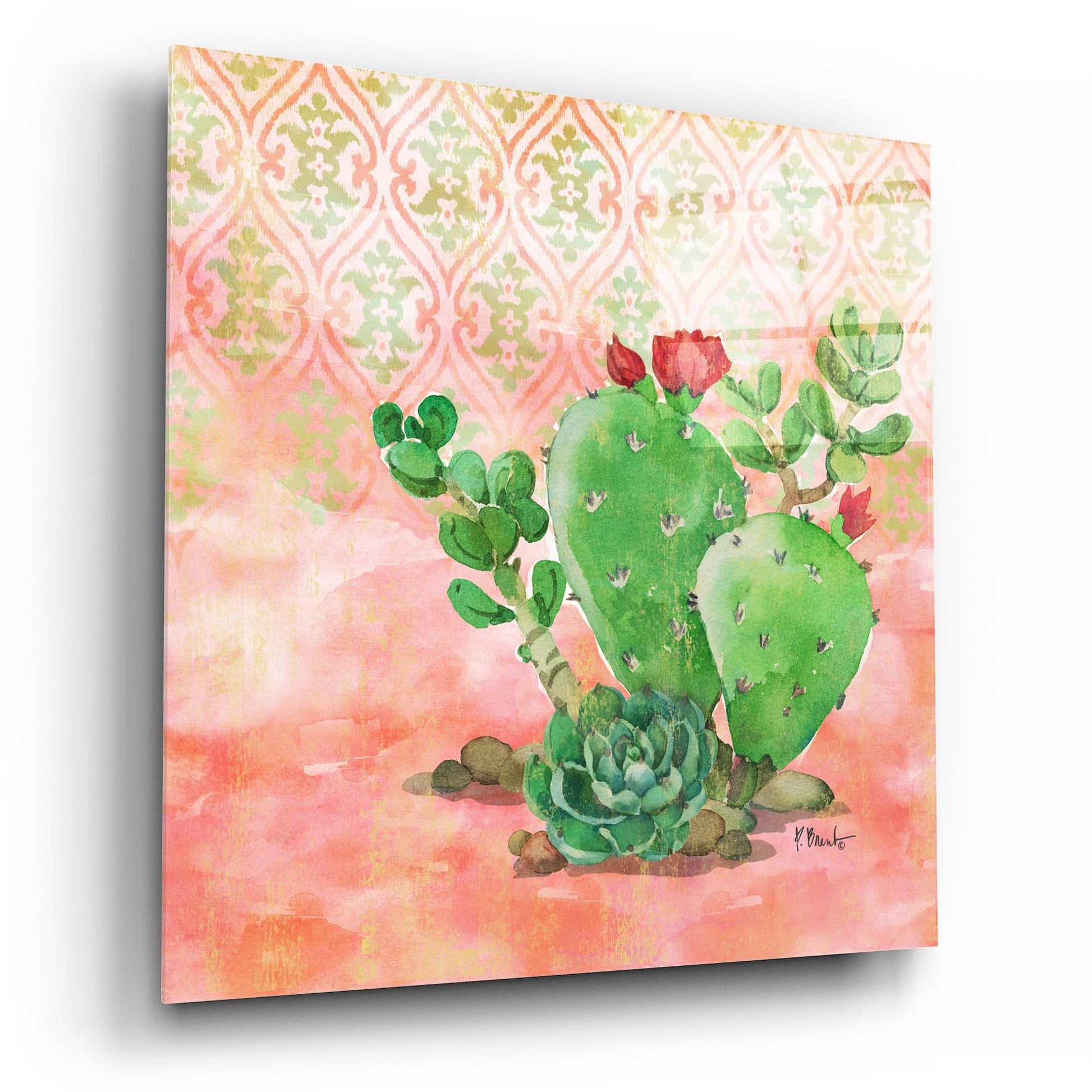 Epic Art 'Cactus IV - Coral' by Paul Brent, Acrylic Glass Wall Art,12x12