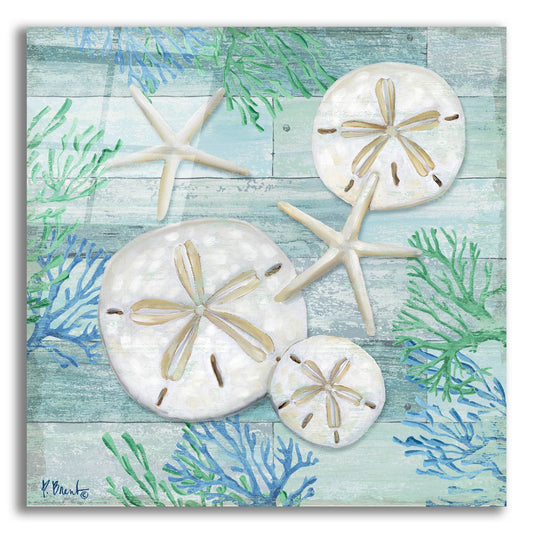 Epic Art 'Clearwater Shells I' by Paul Brent, Acrylic Glass Wall Art