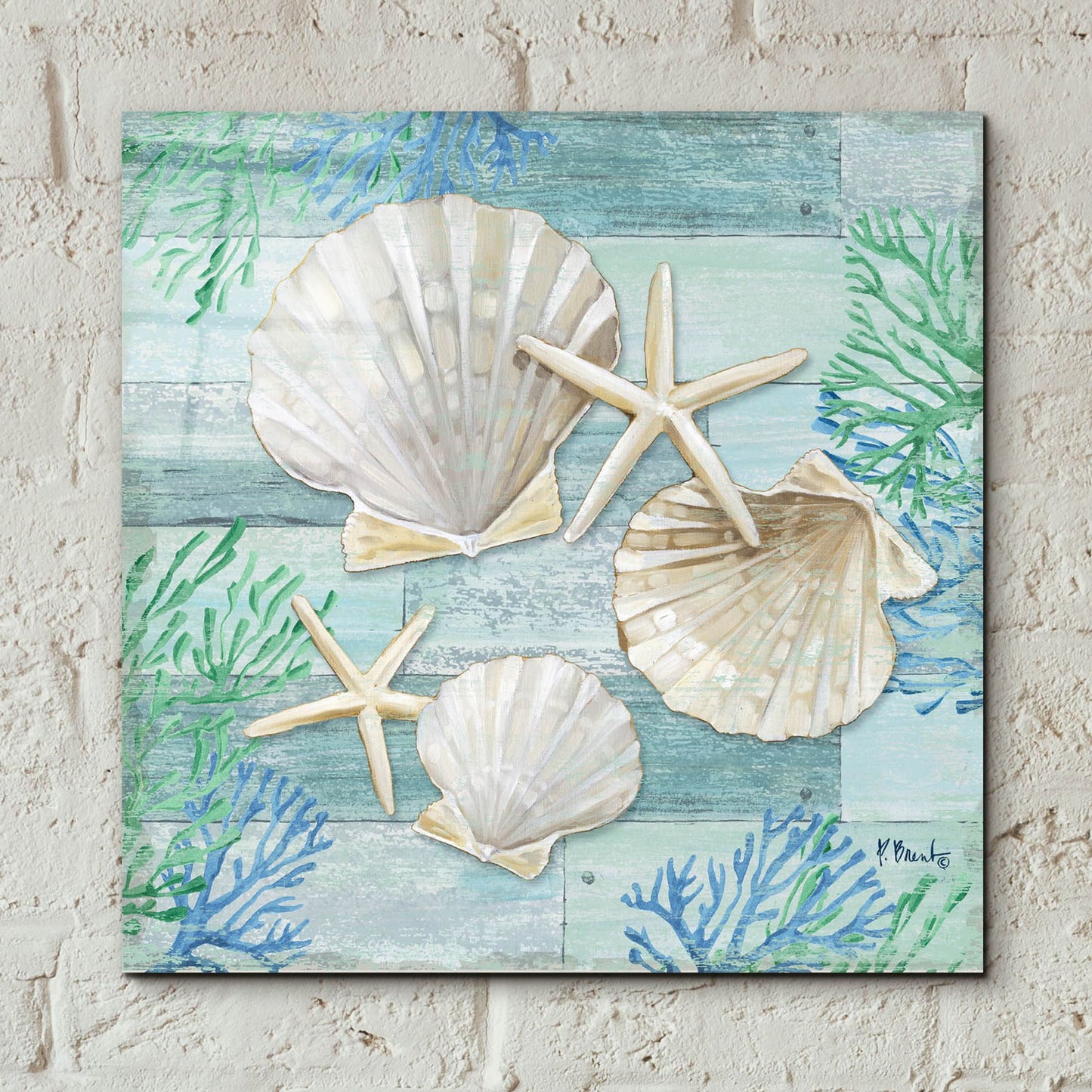 Epic Art 'Clearwater Shells IV' by Paul Brent, Acrylic Glass Wall Art,12x12