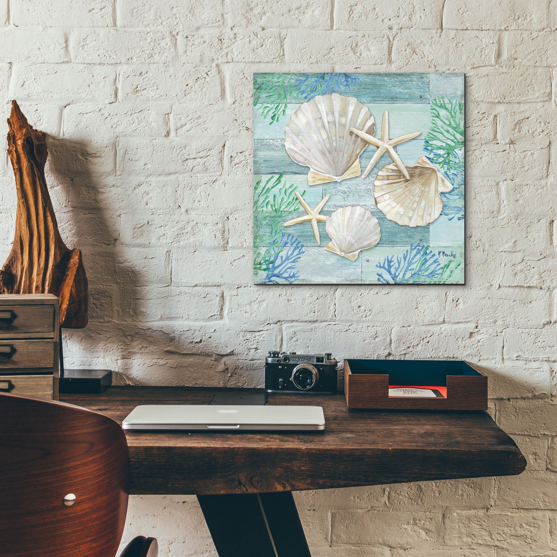 Epic Art 'Clearwater Shells IV' by Paul Brent, Acrylic Glass Wall Art,12x12