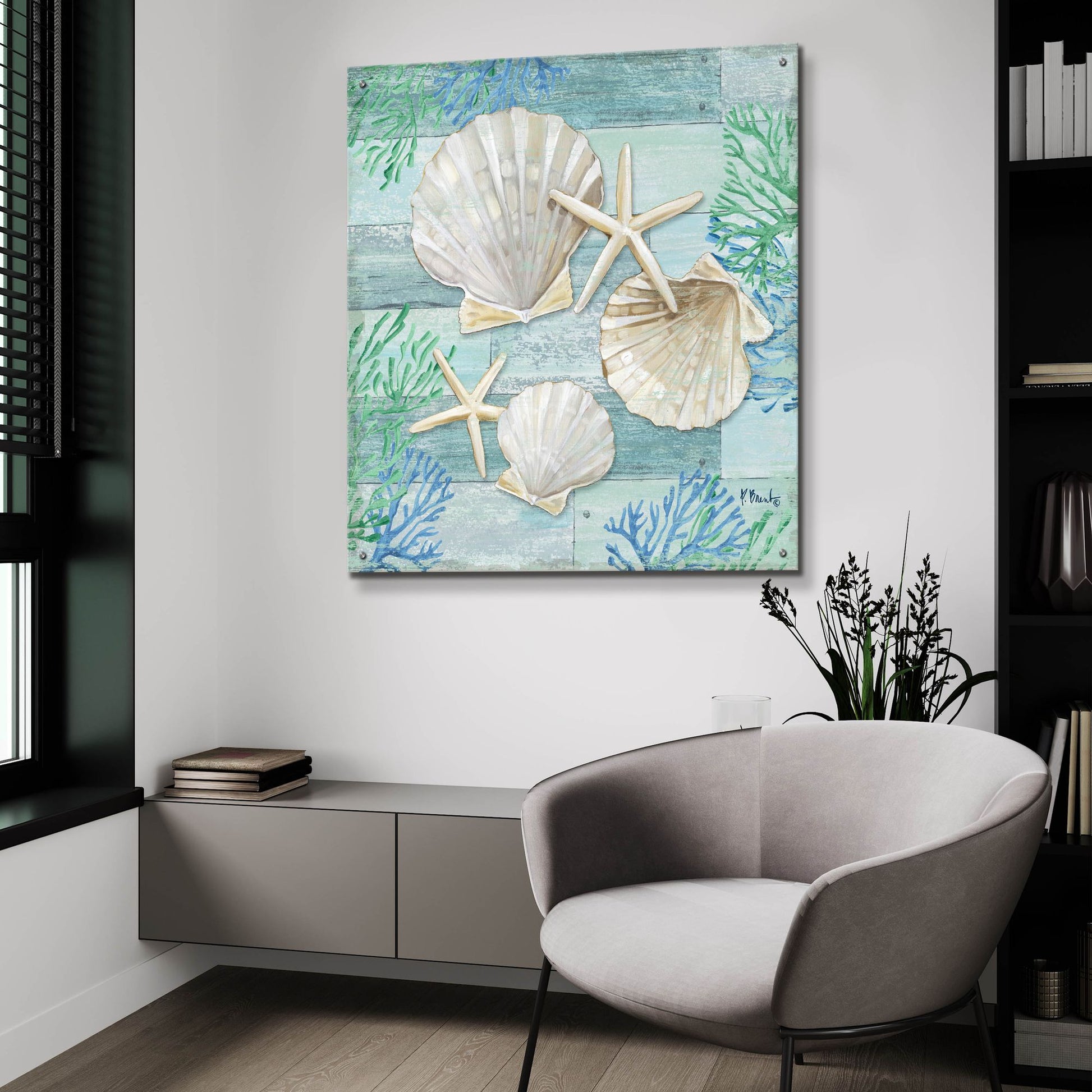 Epic Art 'Clearwater Shells IV' by Paul Brent, Acrylic Glass Wall Art,36x36