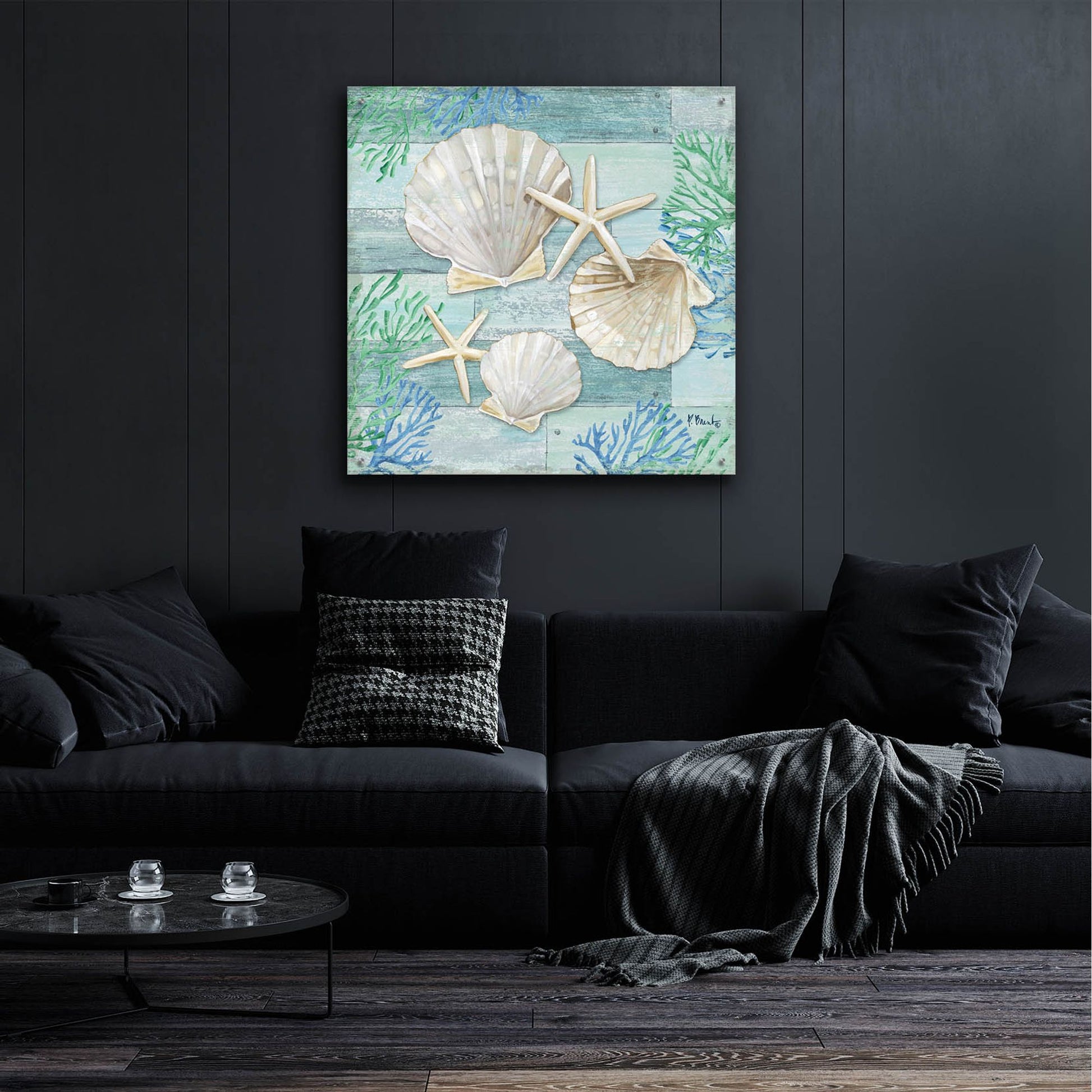 Epic Art 'Clearwater Shells IV' by Paul Brent, Acrylic Glass Wall Art,36x36