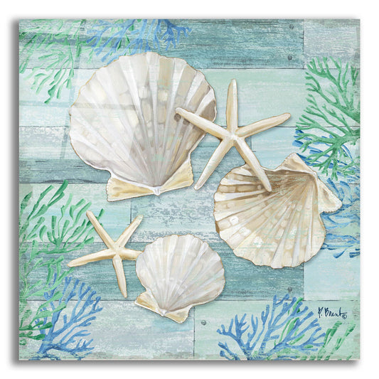 Epic Art 'Clearwater Shells IV' by Paul Brent, Acrylic Glass Wall Art
